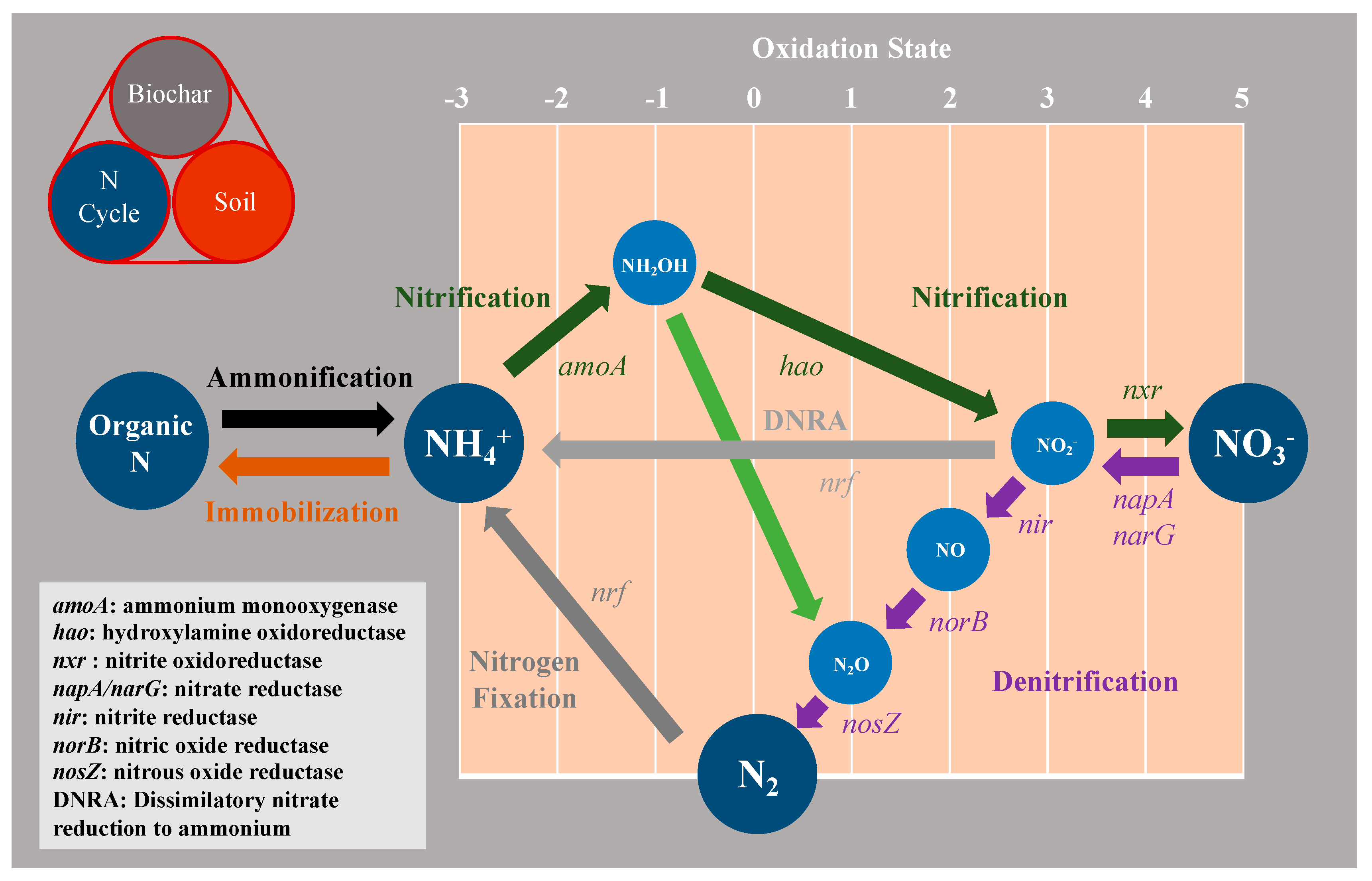 Sustainability 13 05612 g004 Sustainability 13 05612 g004