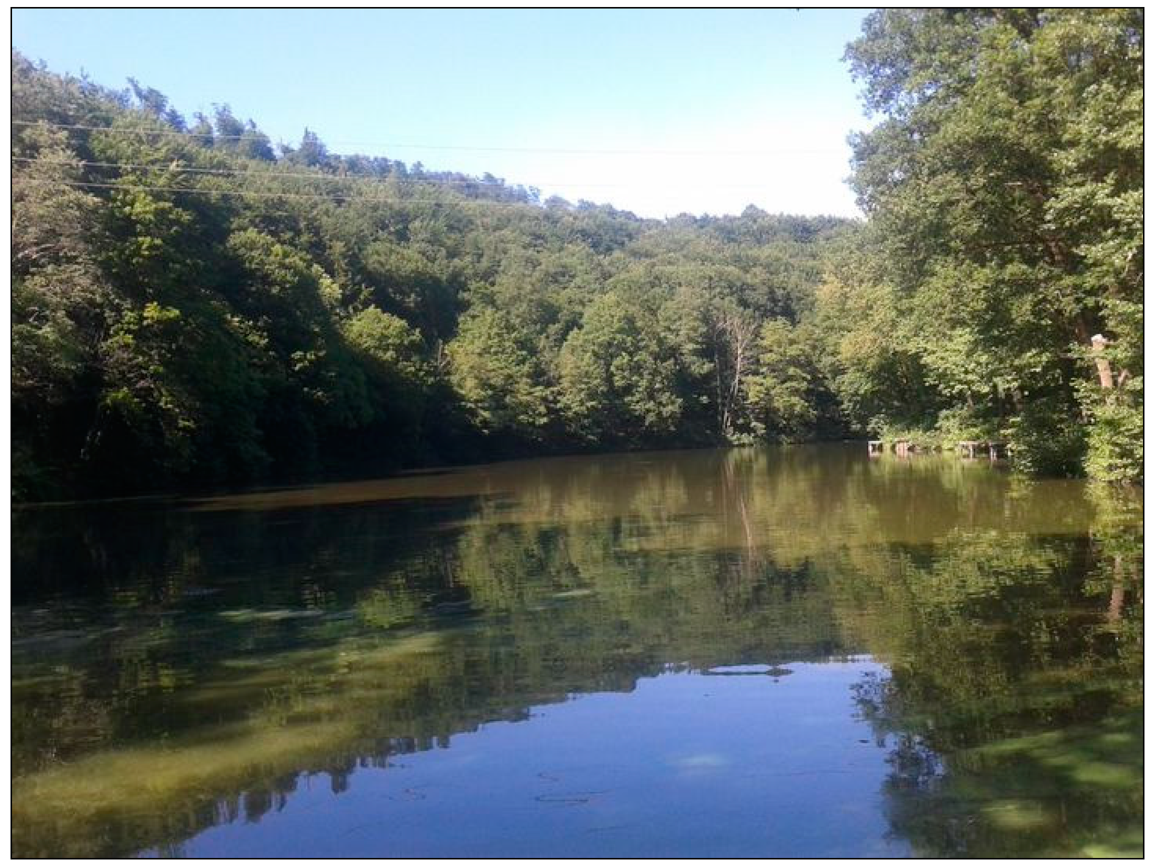 Sustainability 13 05622 g002