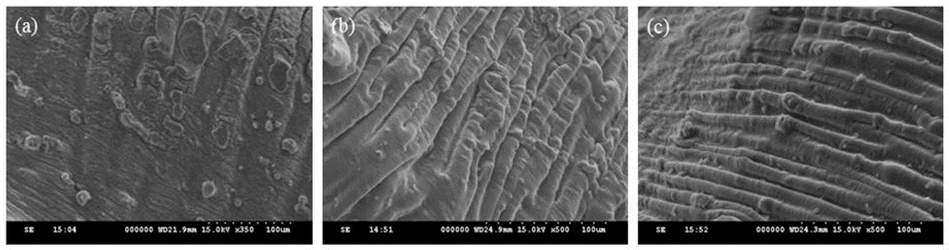 Sustainability 13 05640 g001