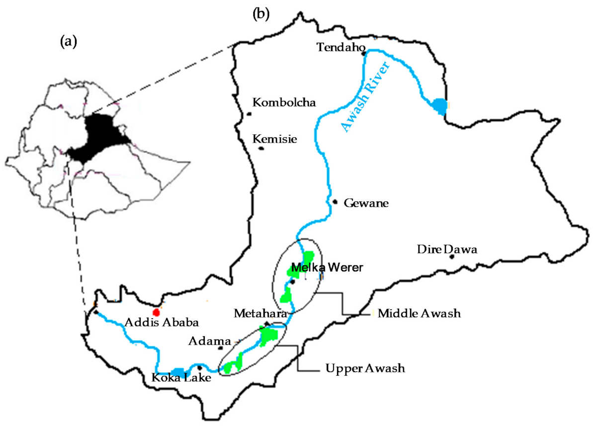 Sustainability 13 05646 g001