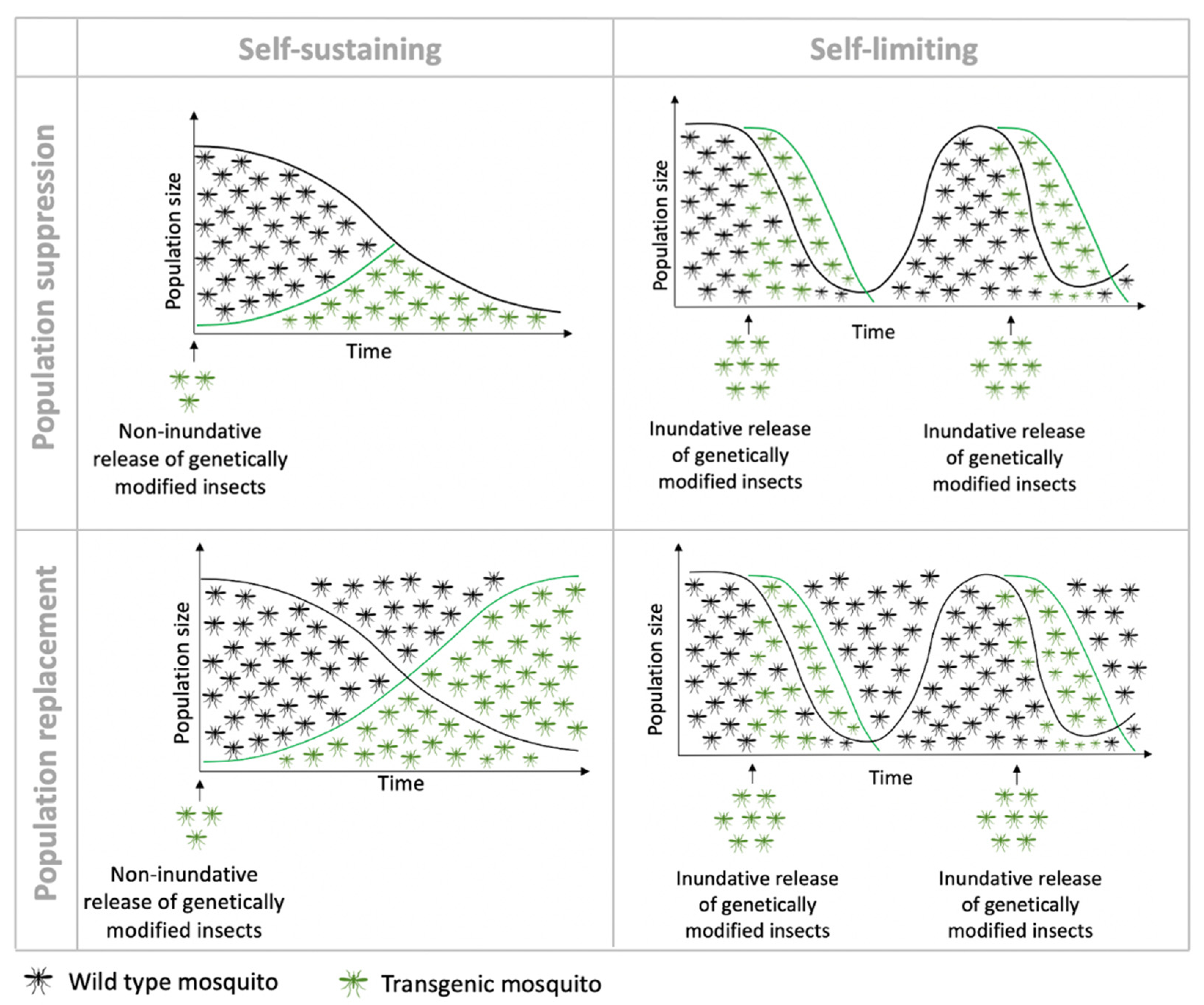 Sustainability 13 05653 g002