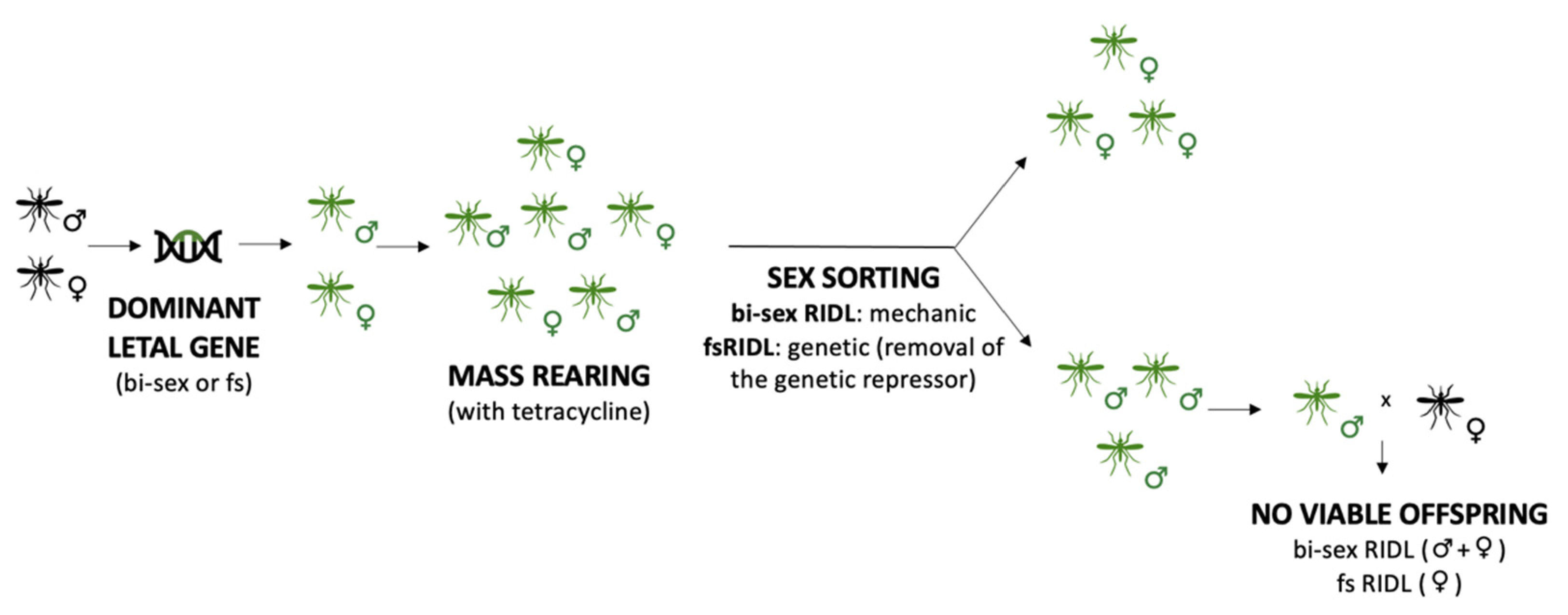 Sustainability 13 05653 g004