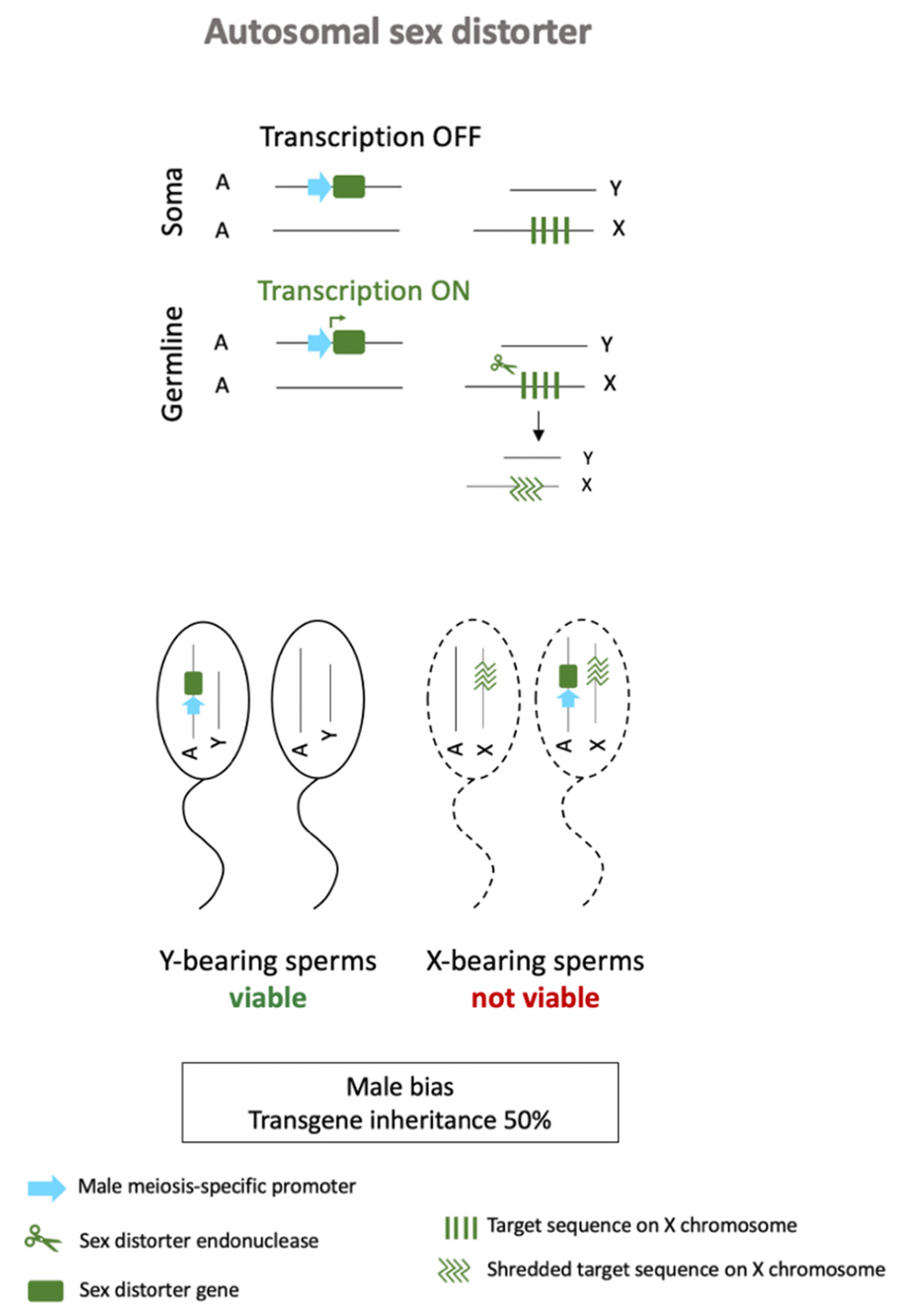 Sustainability 13 05653 g005