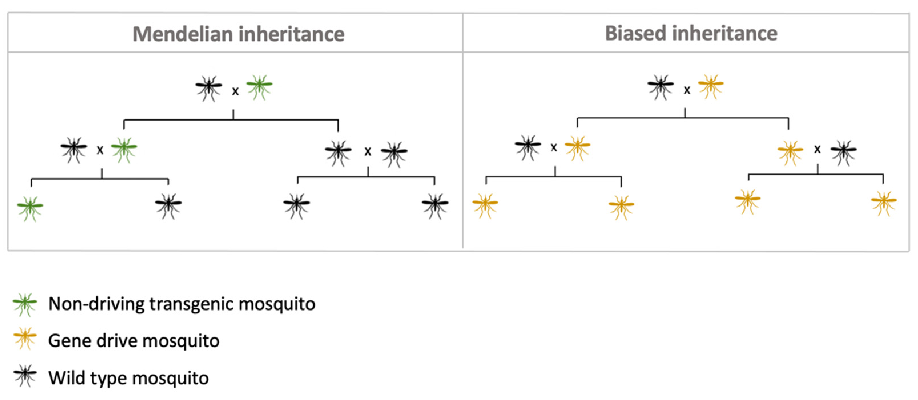 Sustainability 13 05653 g006