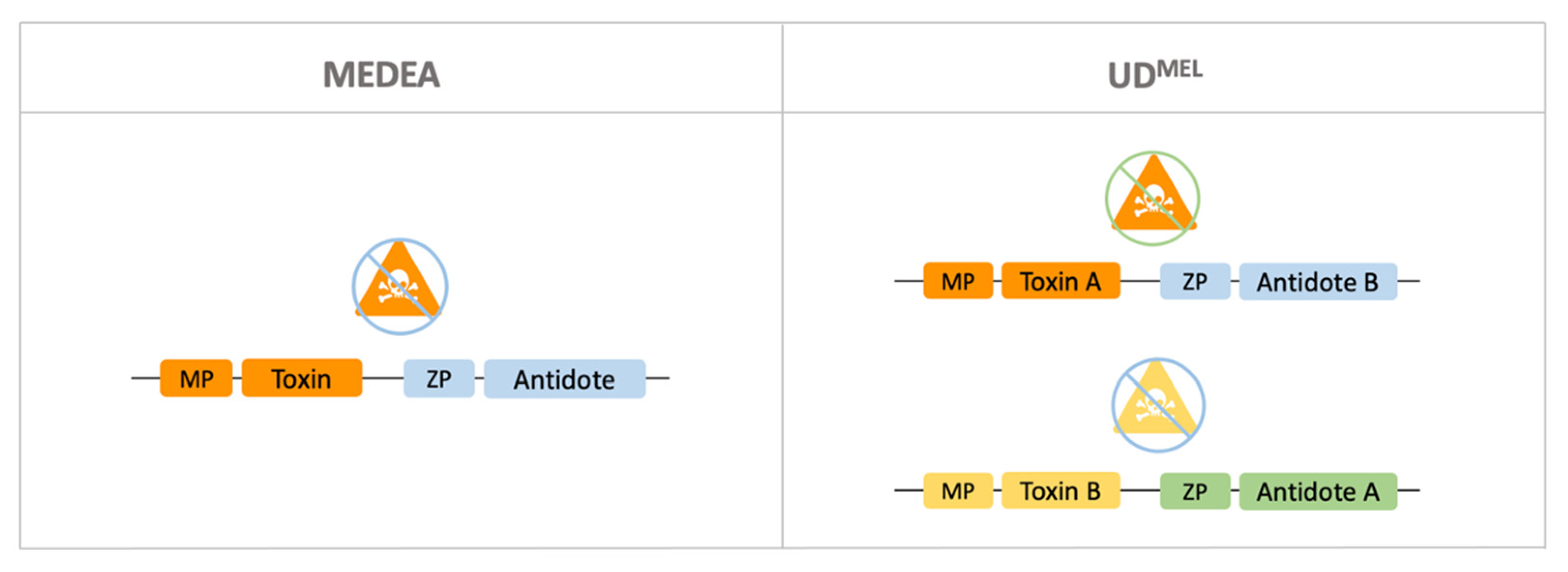Sustainability 13 05653 g007