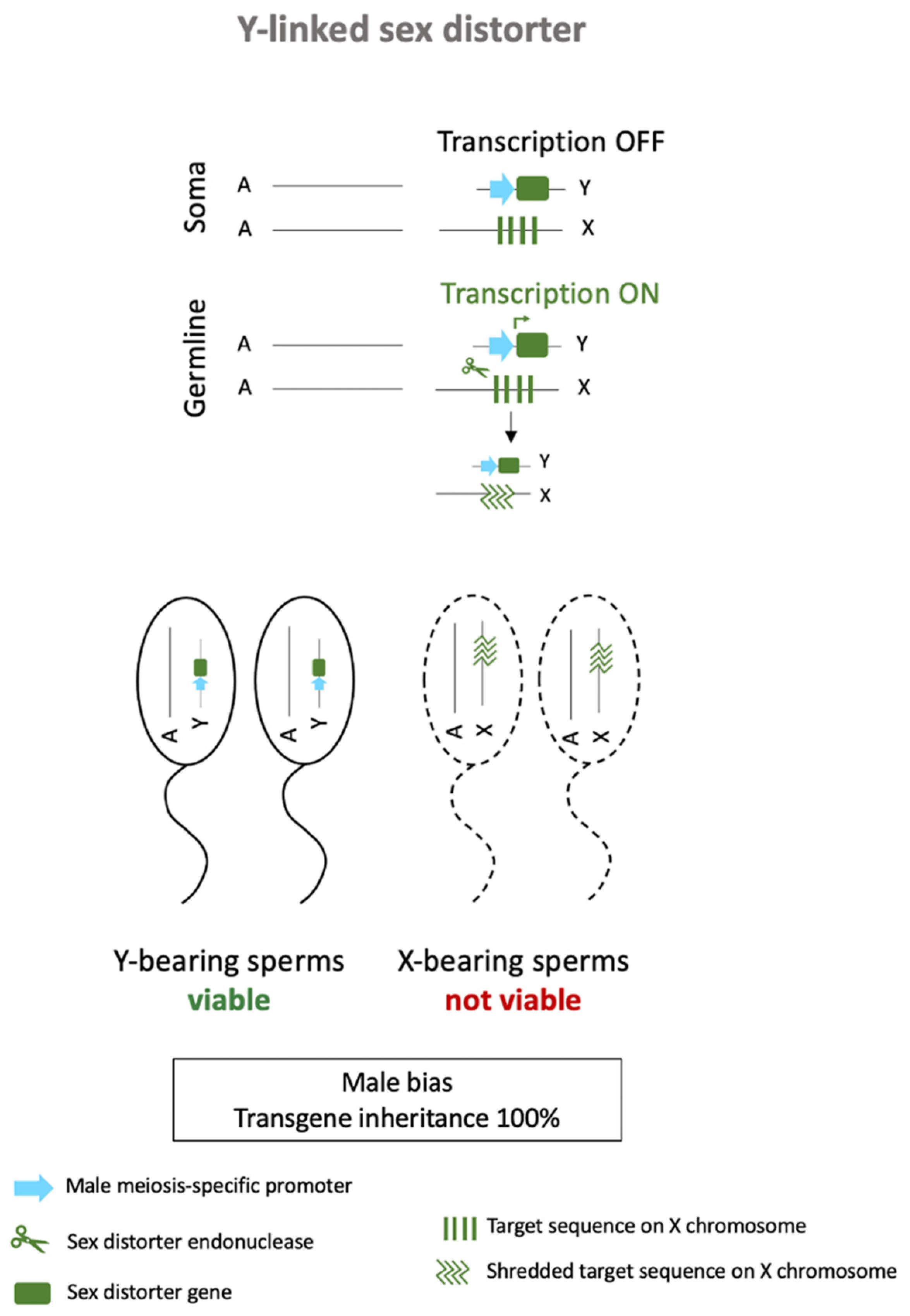 Sustainability 13 05653 g008