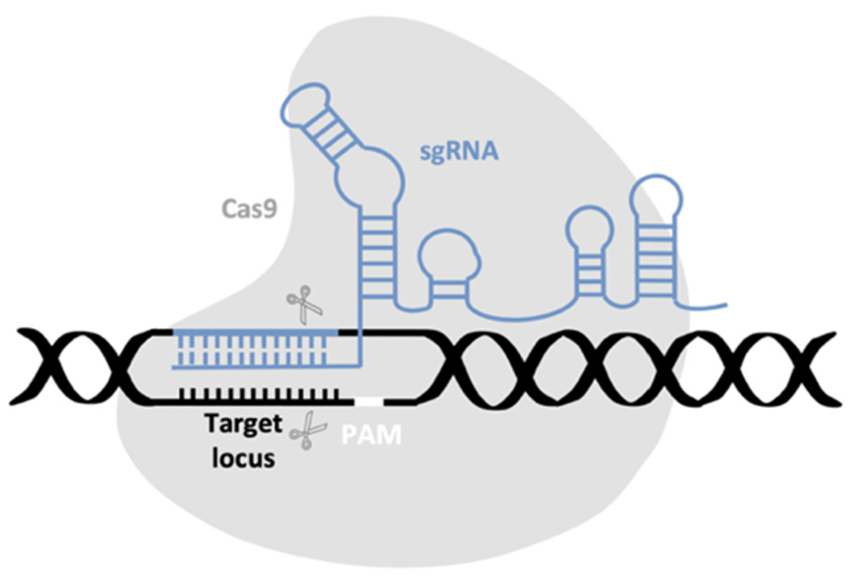 Sustainability 13 05653 g010