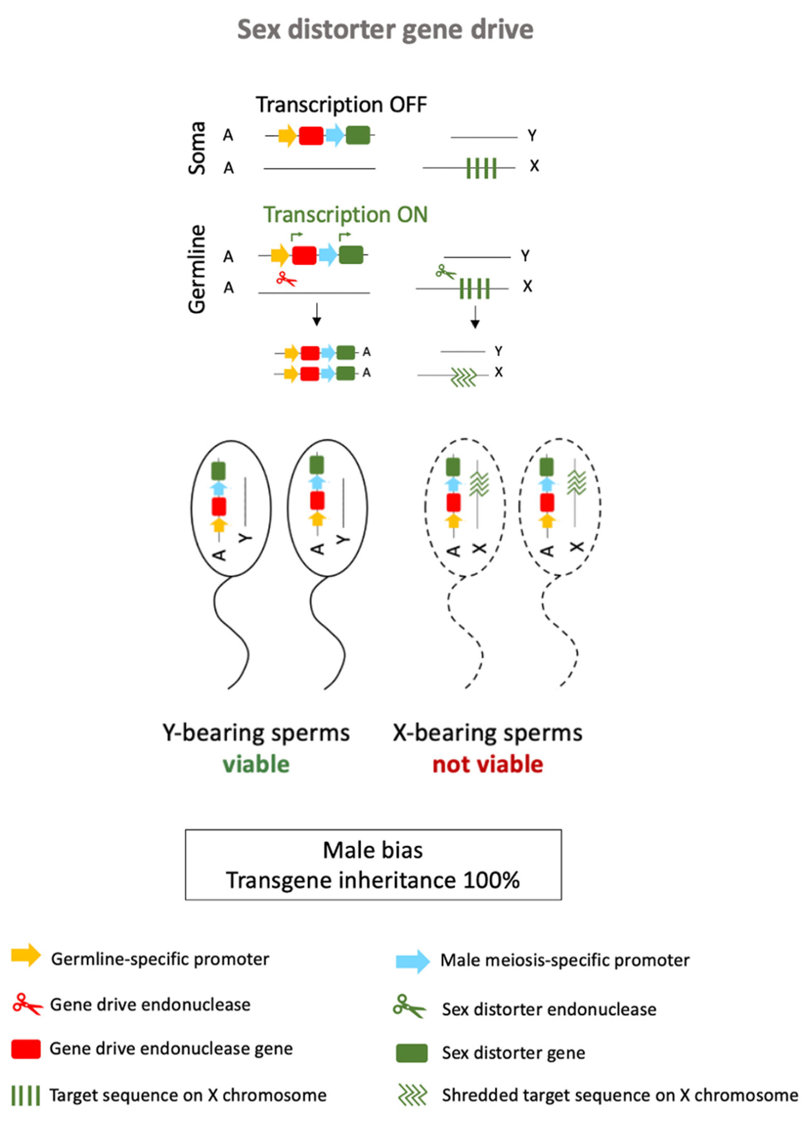 Sustainability 13 05653 g011