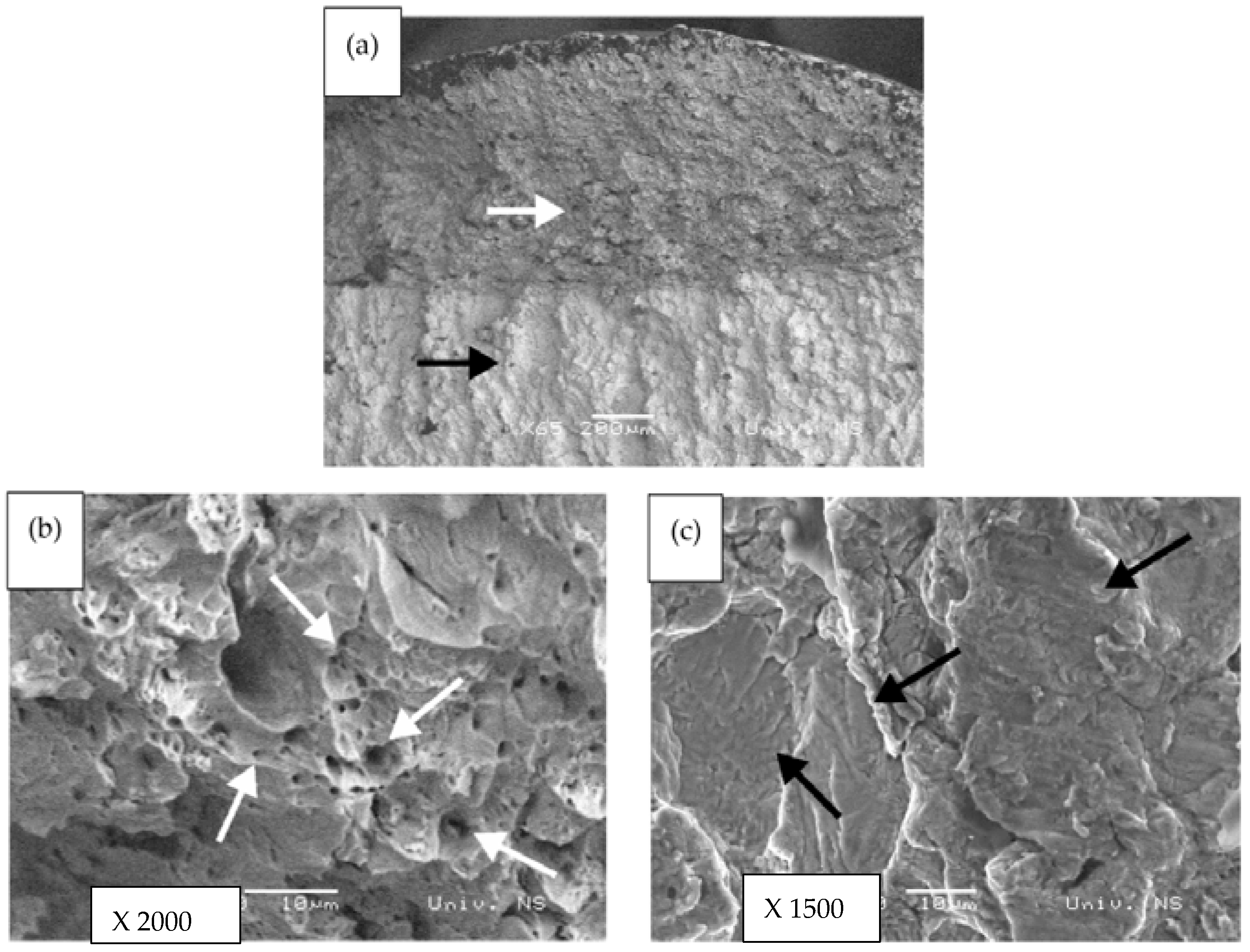 Sustainability 13 05675 g008