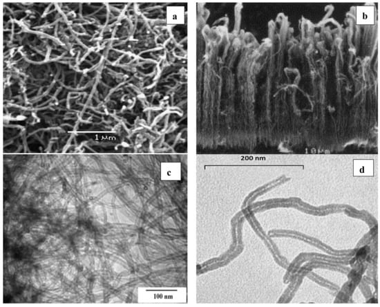 Sustainability 13 05717 g006