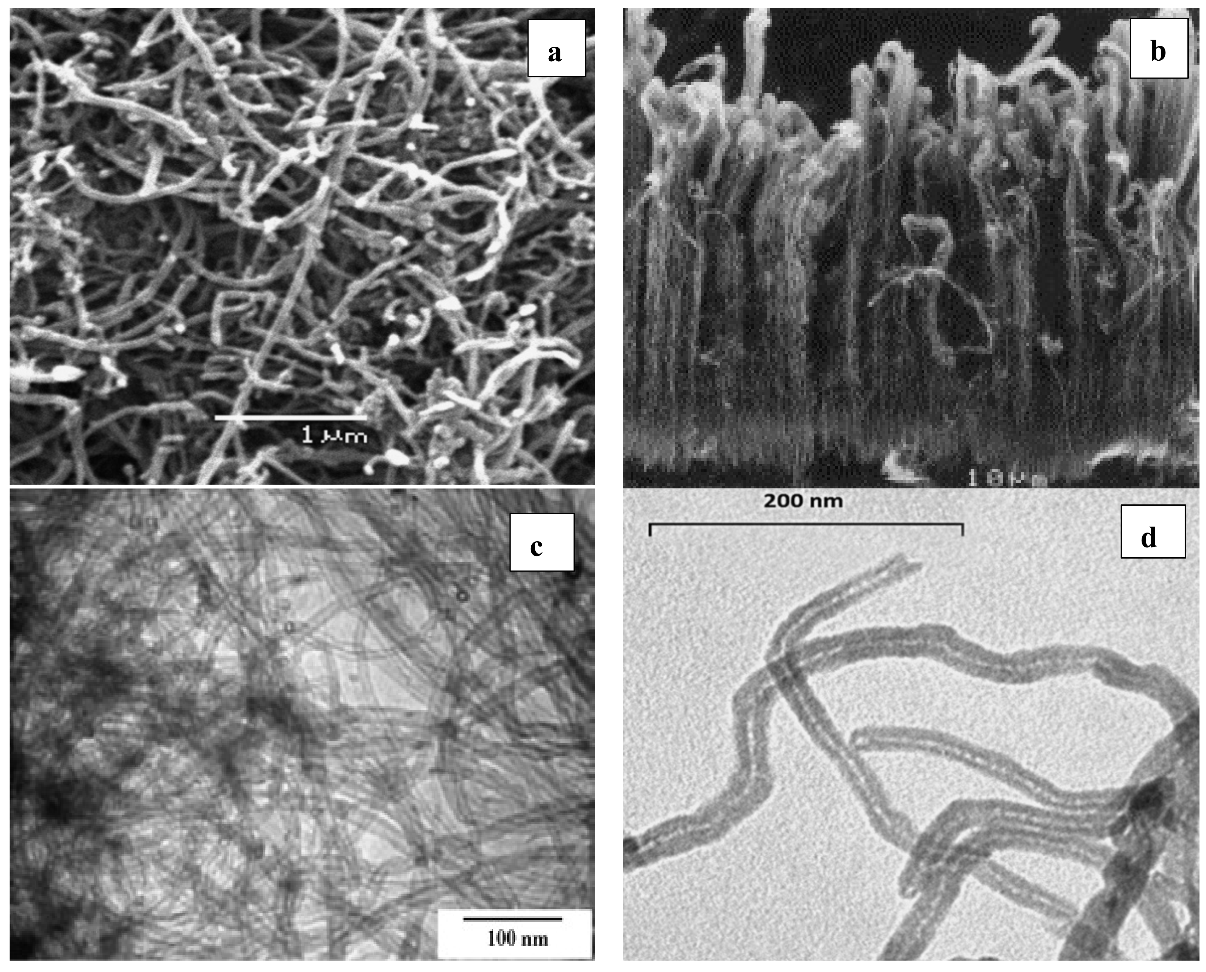 Sustainability 13 05717 g006