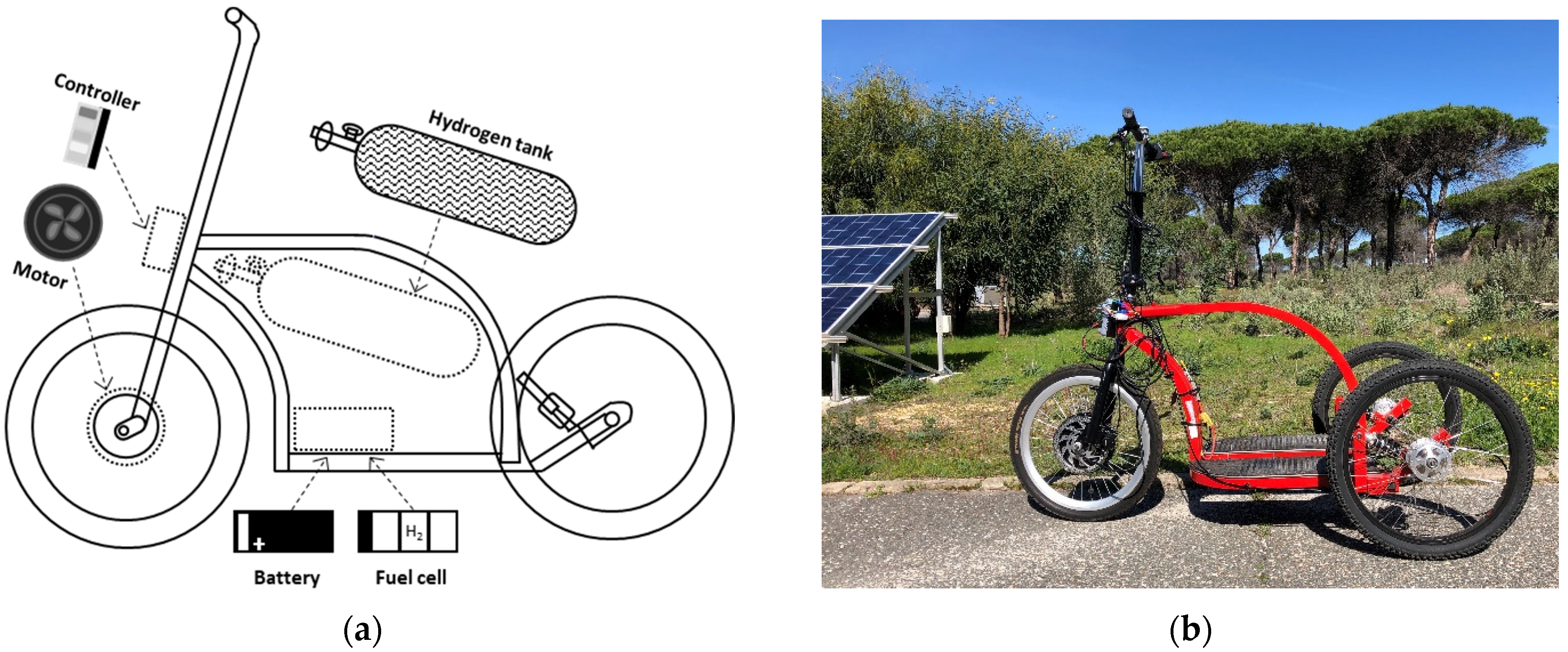 Sustainability 13 05721 g001