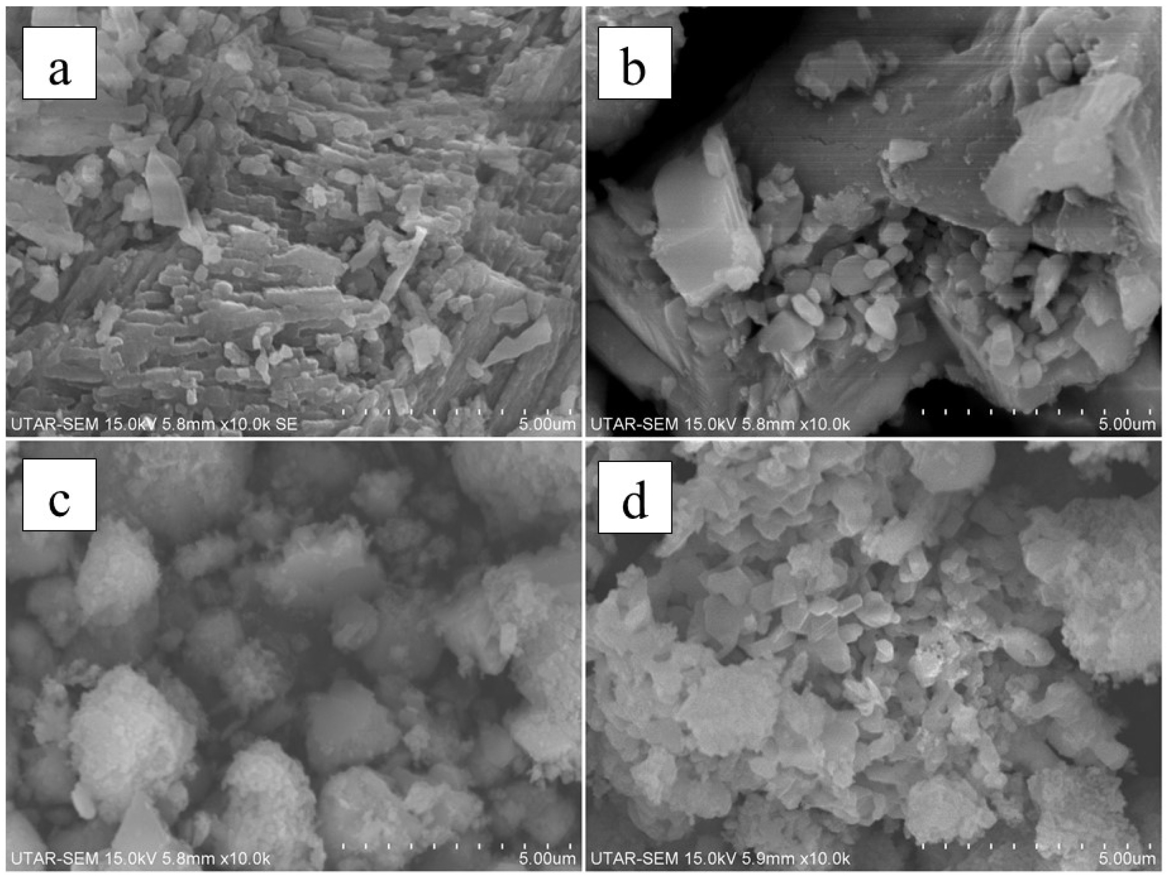 Sustainability 13 05849 g003