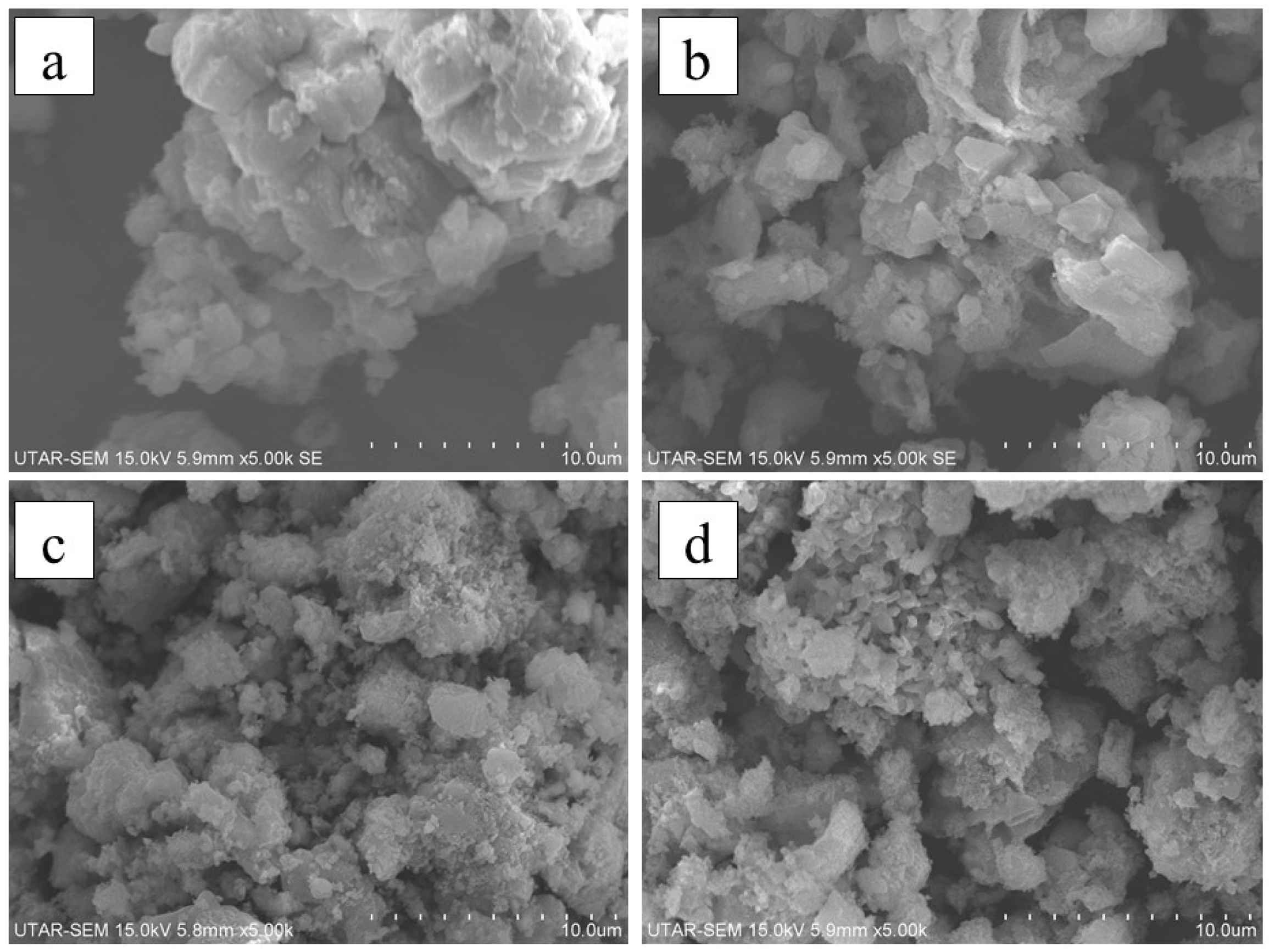 Sustainability 13 05849 g004