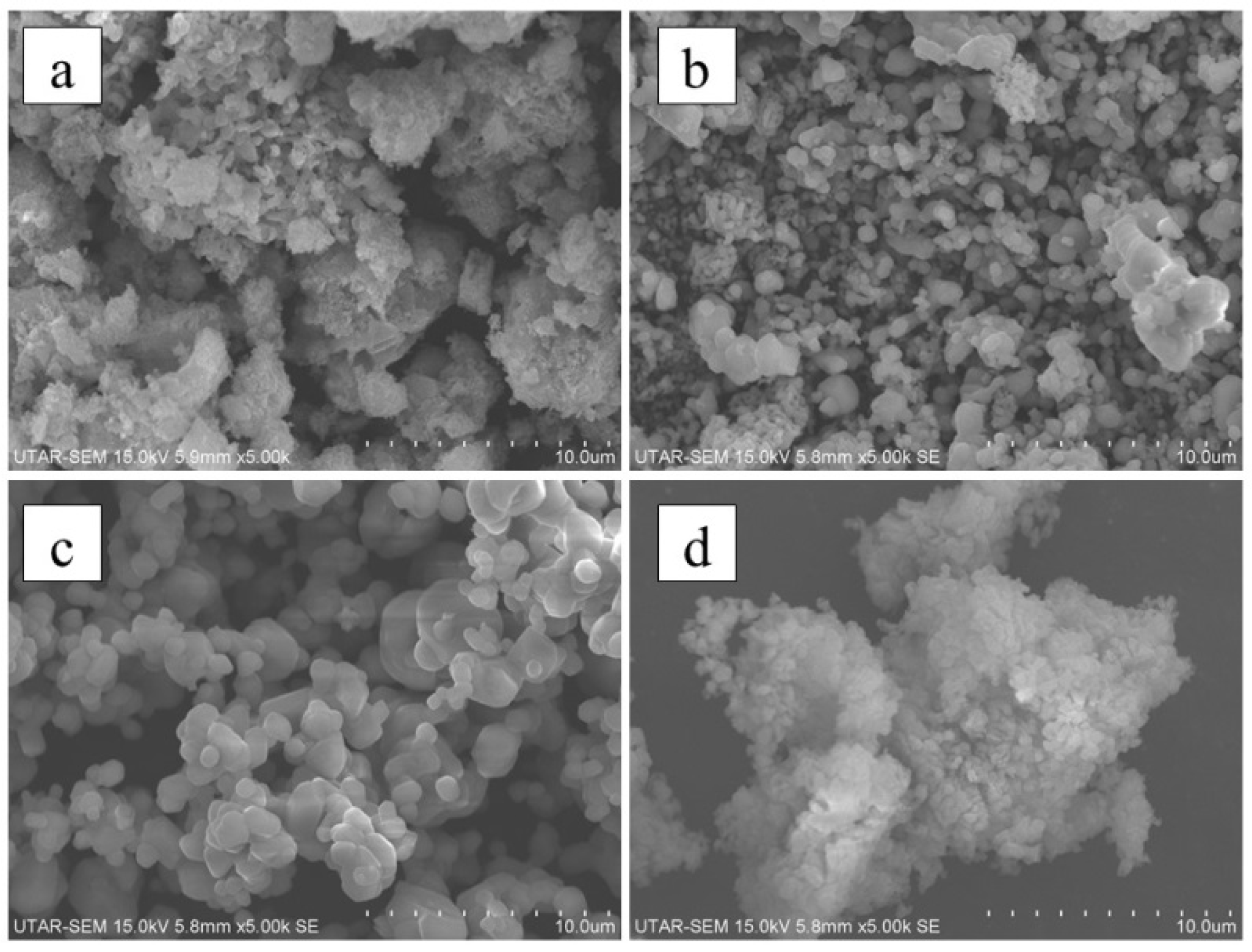 Sustainability 13 05849 g005