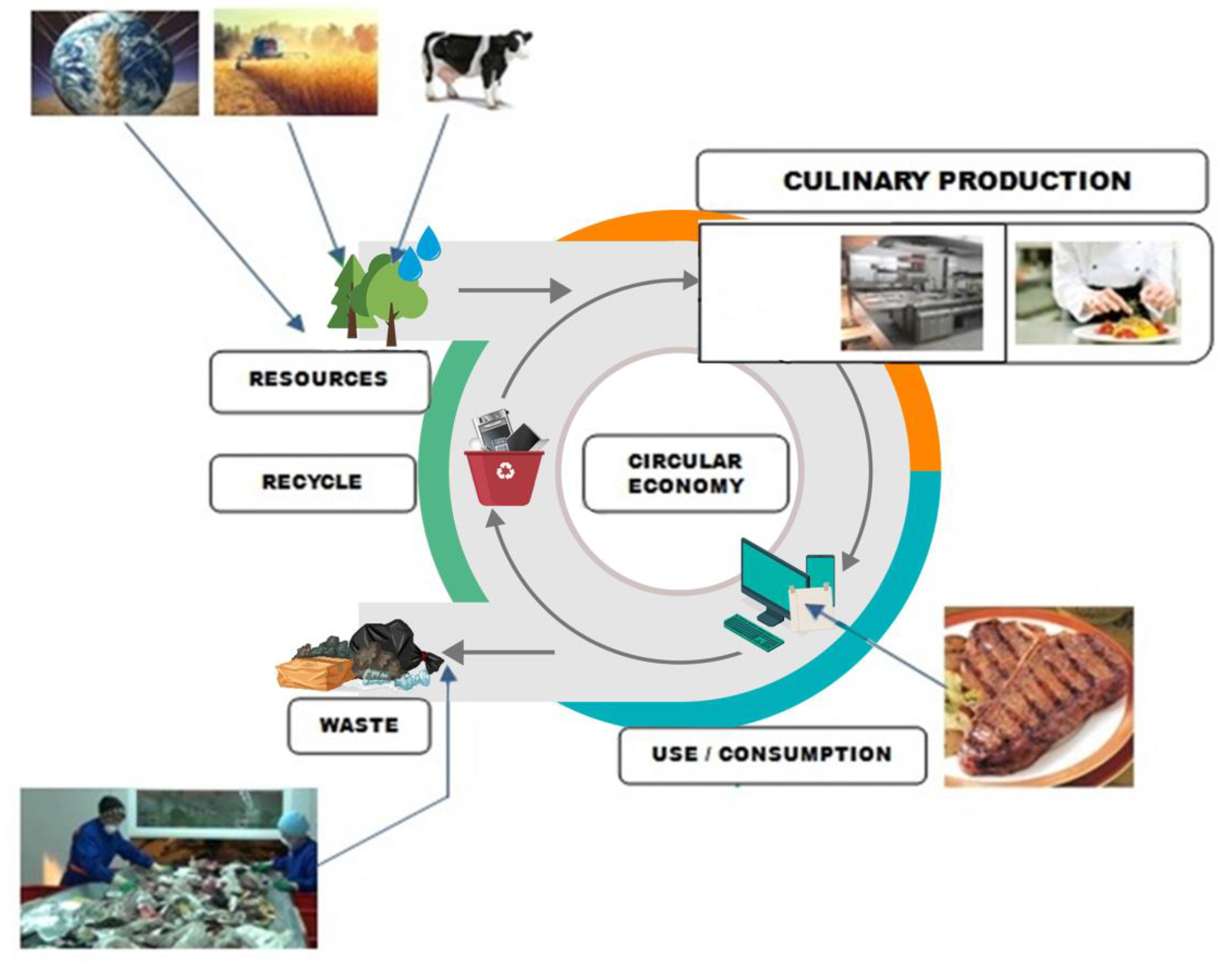 Sustainability 13 05852 g002