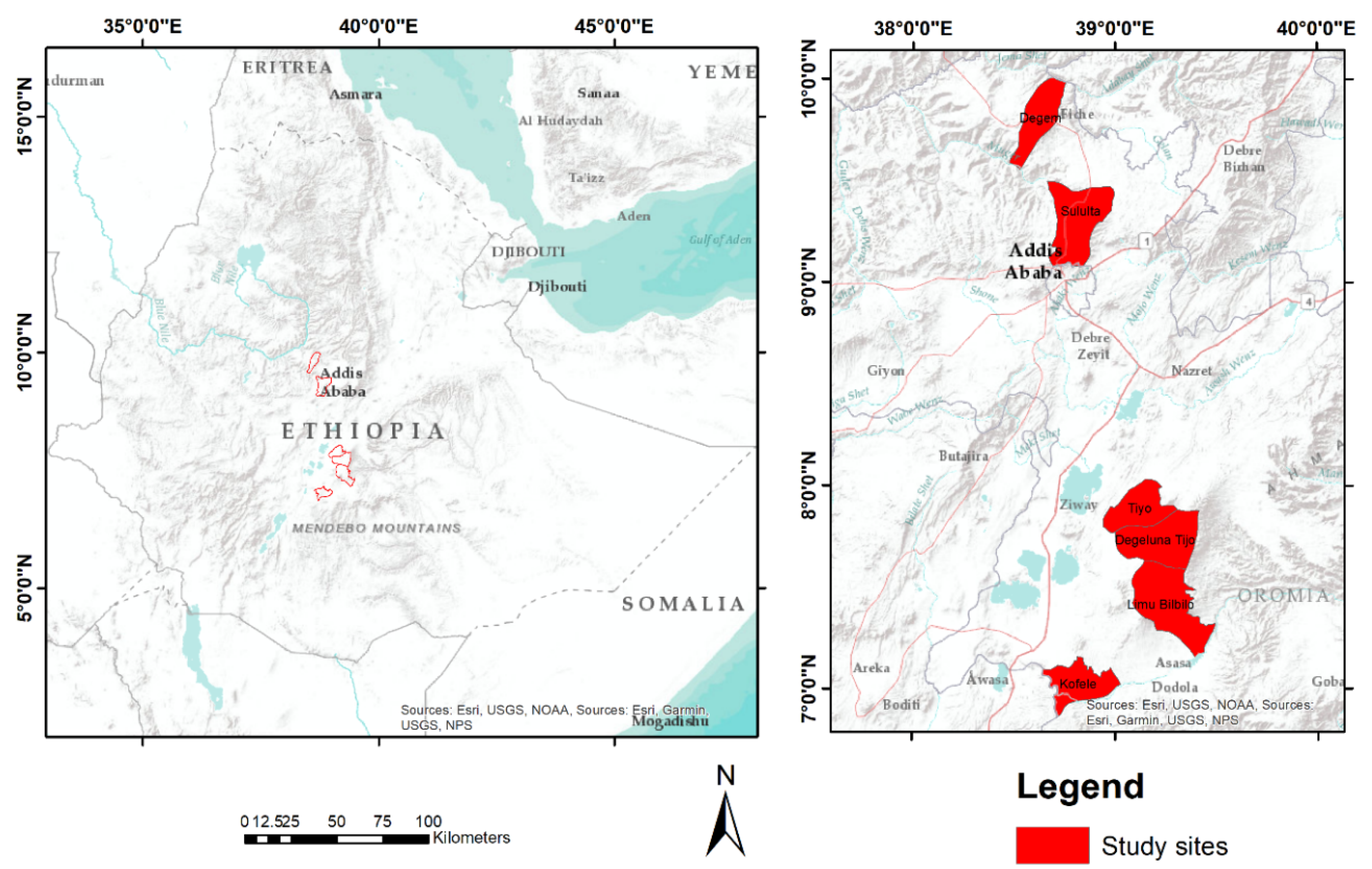 Sustainability 13 05879 g001