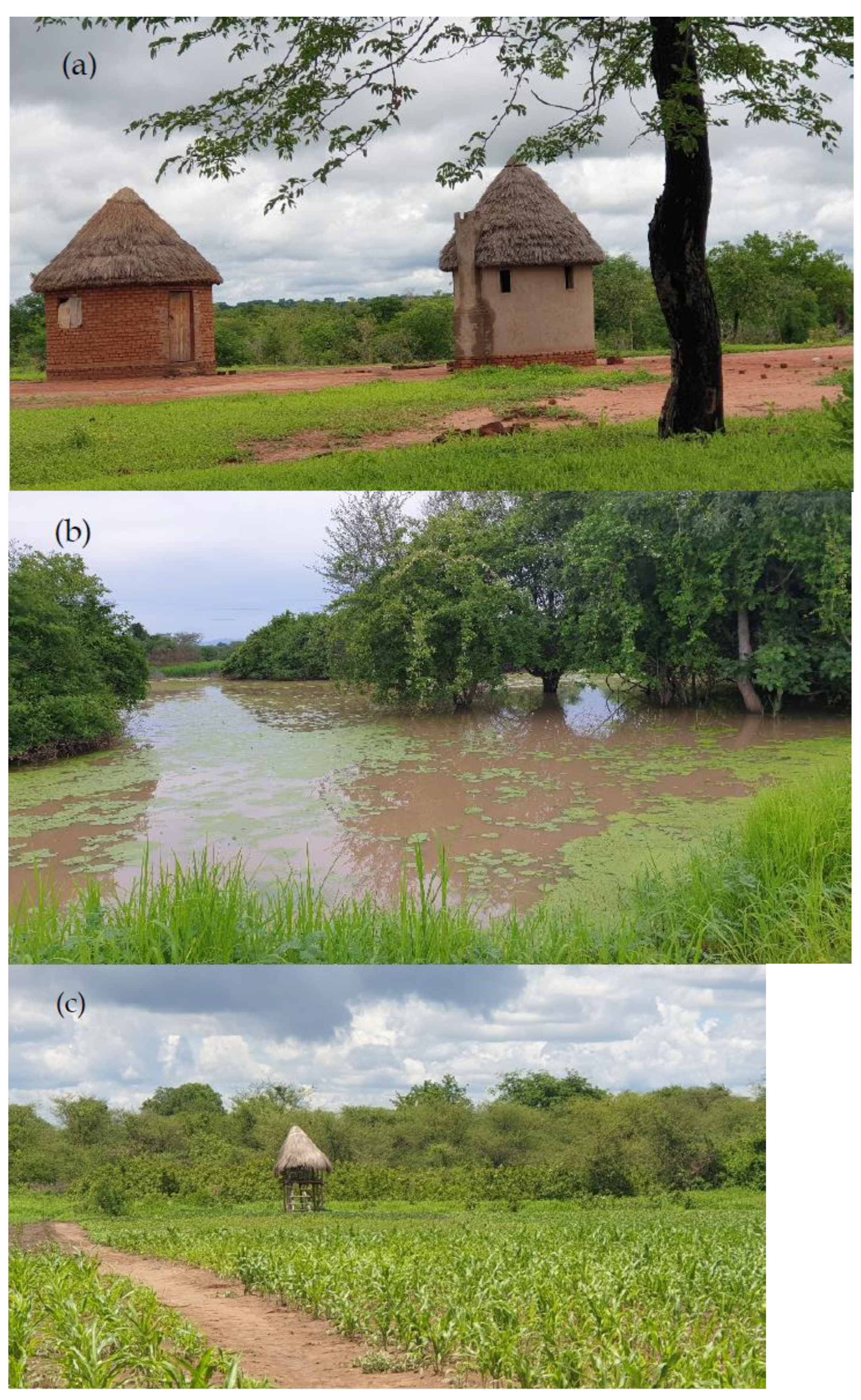 Sustainability 13 05885 g002