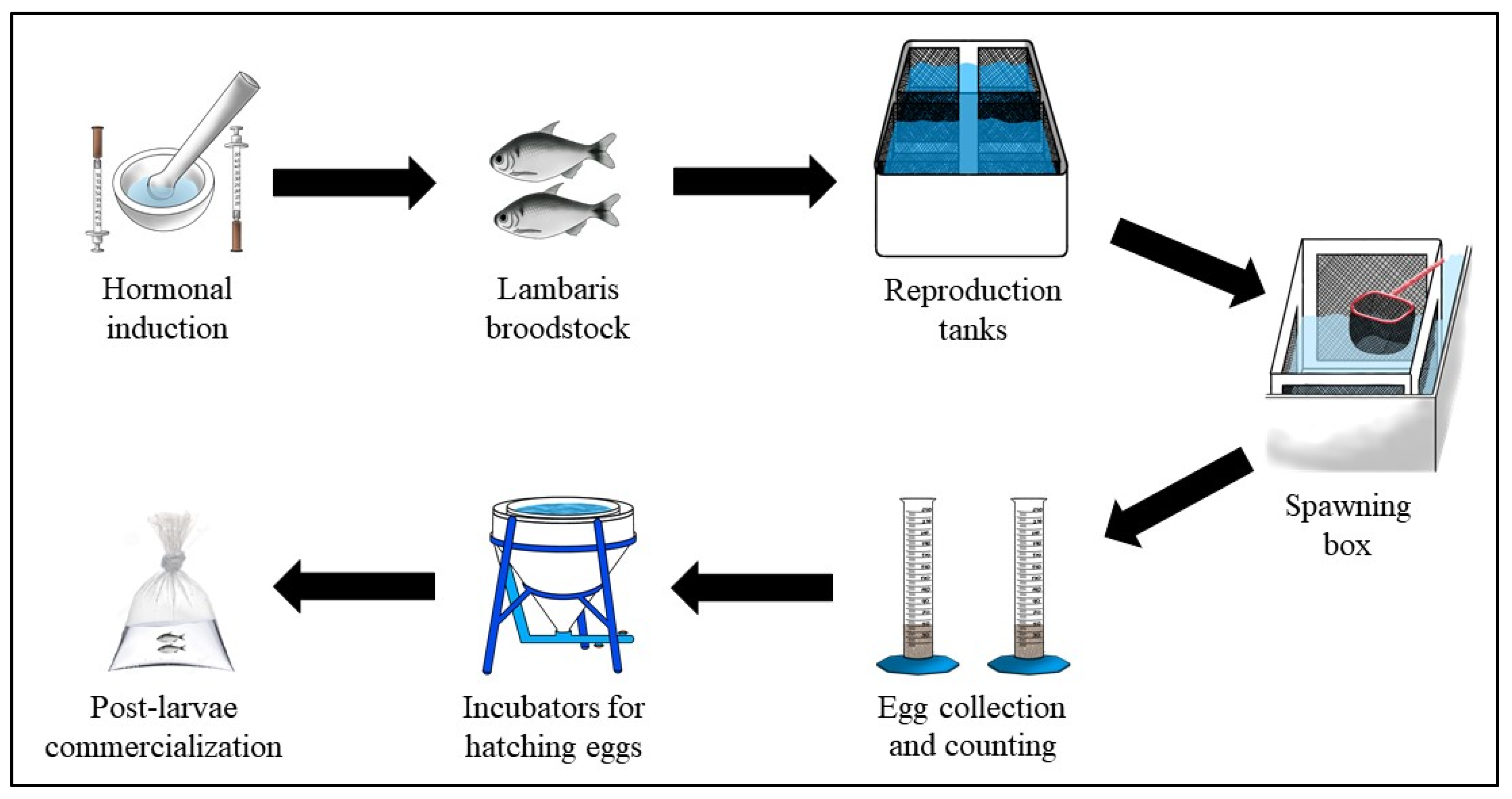 Sustainability 13 05934 g002