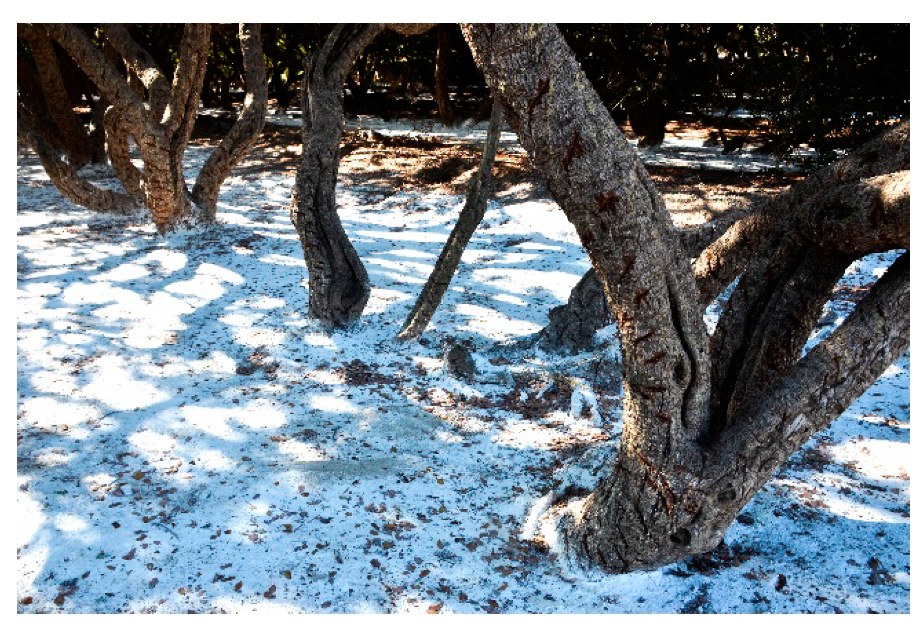 Sustainability 13 05955 g004