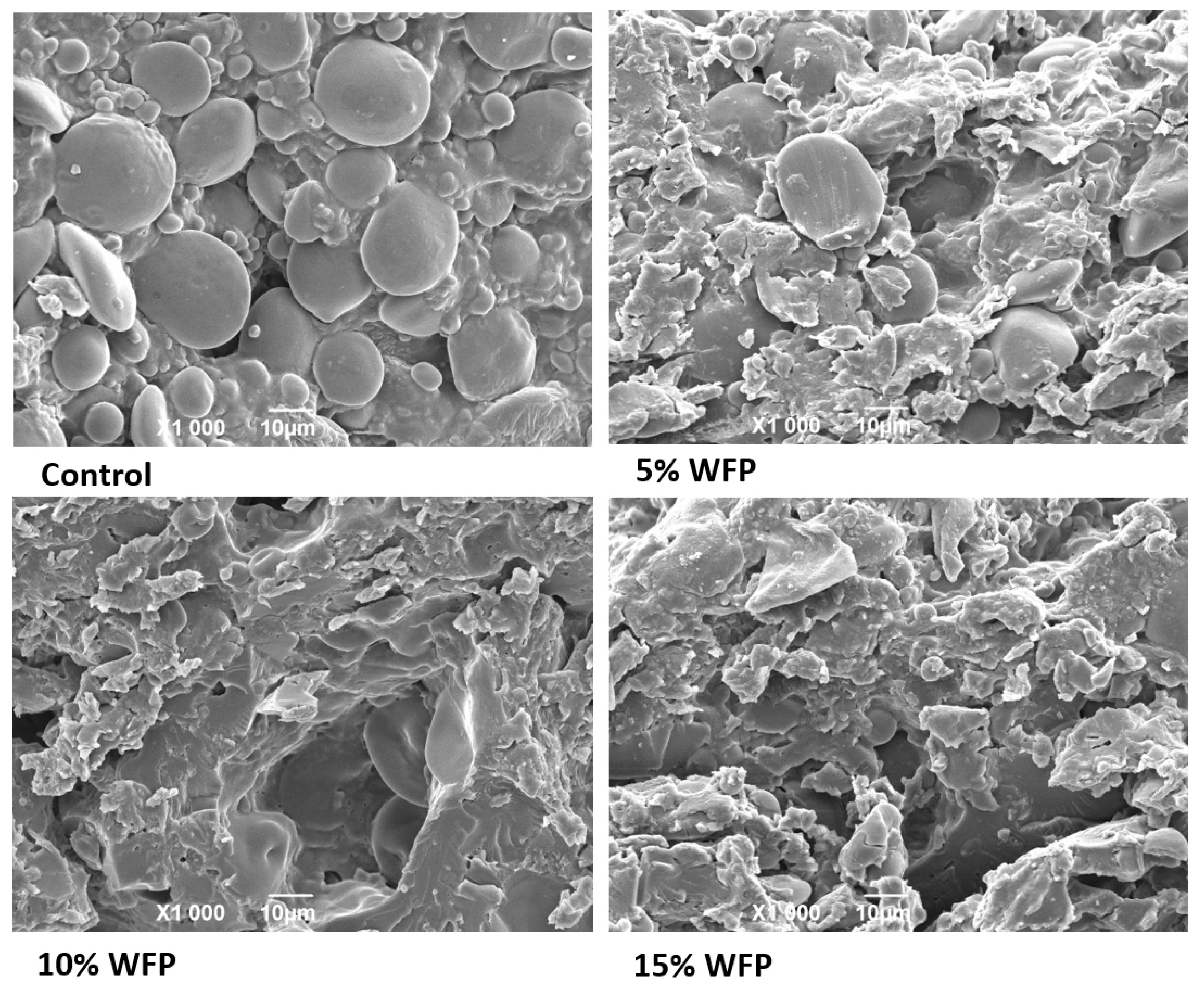 Sustainability 13 06010 g004