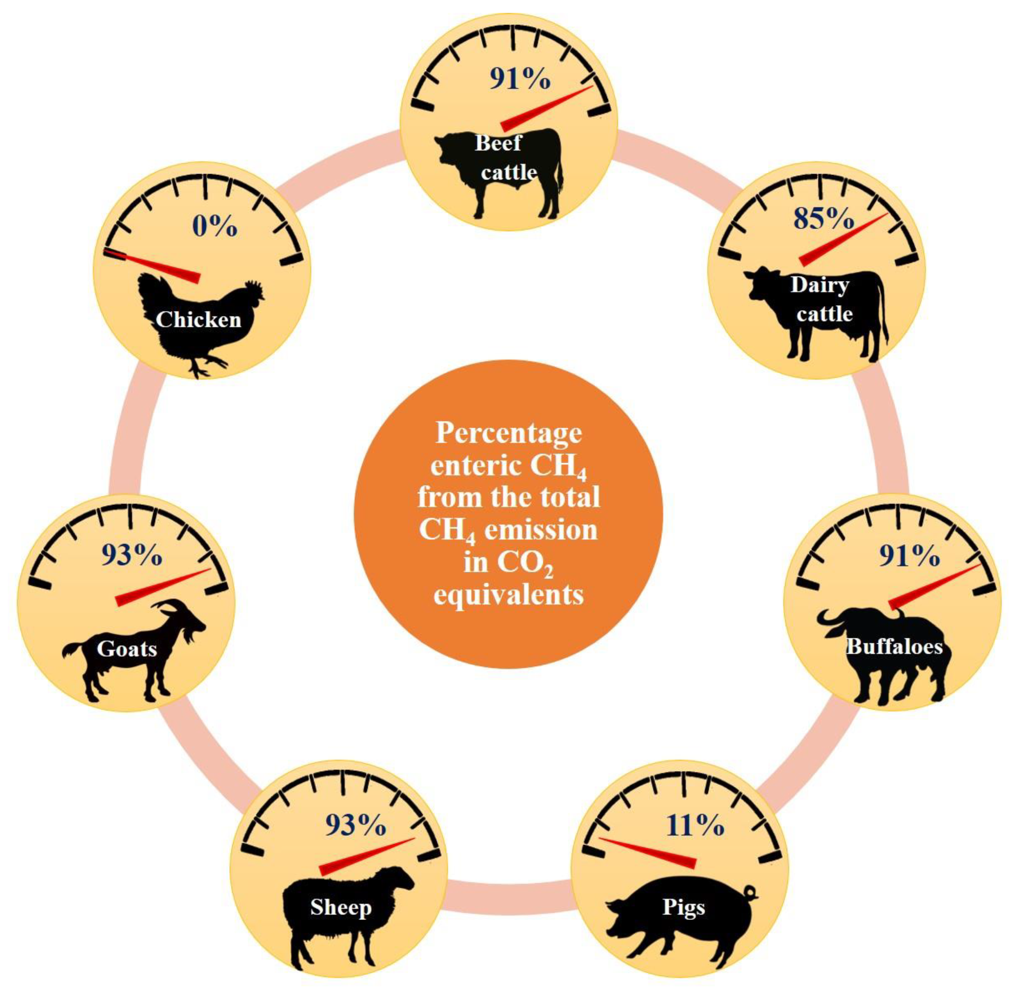 Sustainability 13 06081 g001