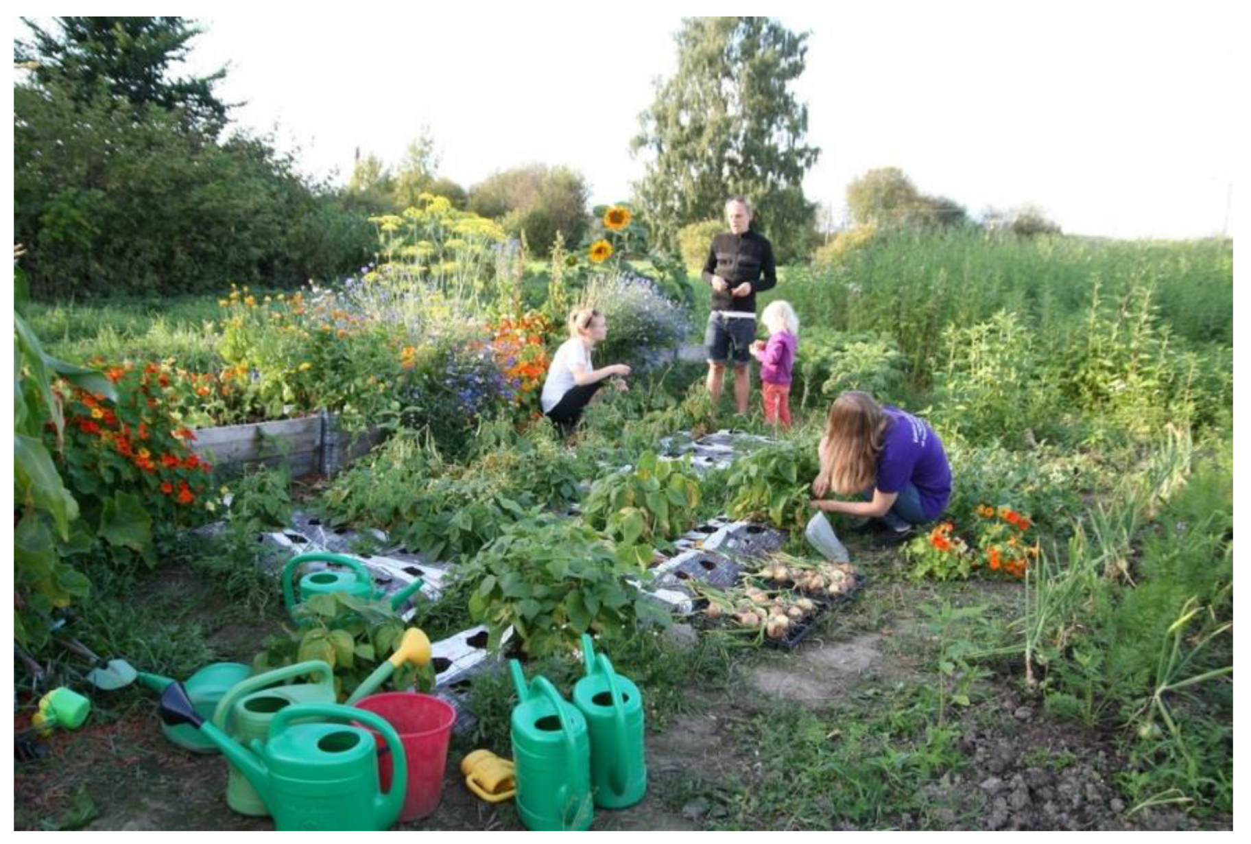 Sustainability 13 06231 g004