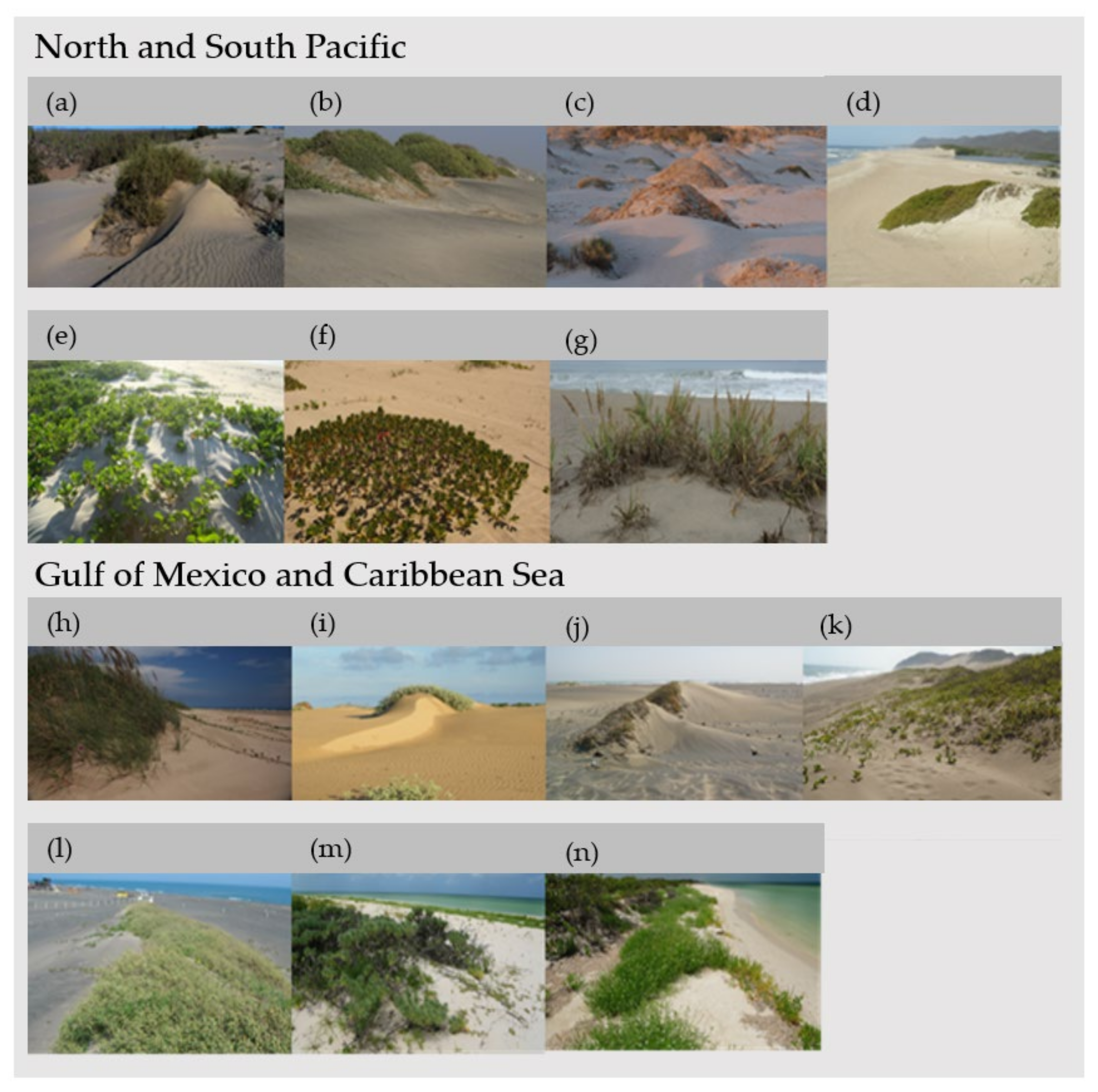 Sustainability 13 06268 g005