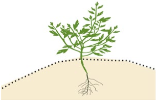 Sustainability 13 06268 i001