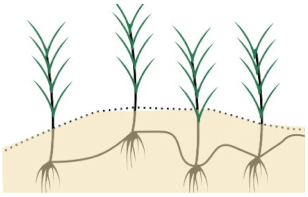 Sustainability 13 06268 i002