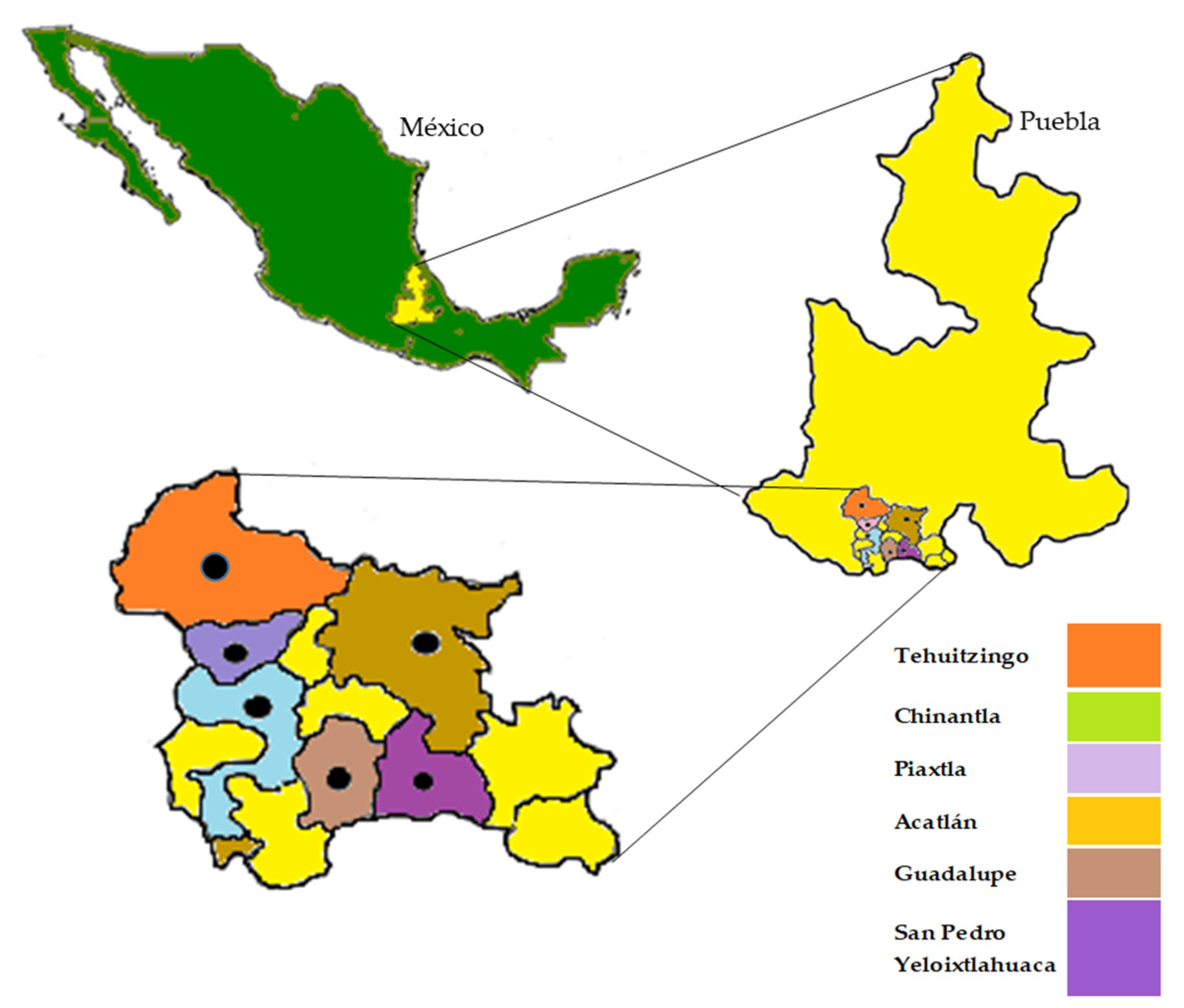 Sustainability 13 06293 g001