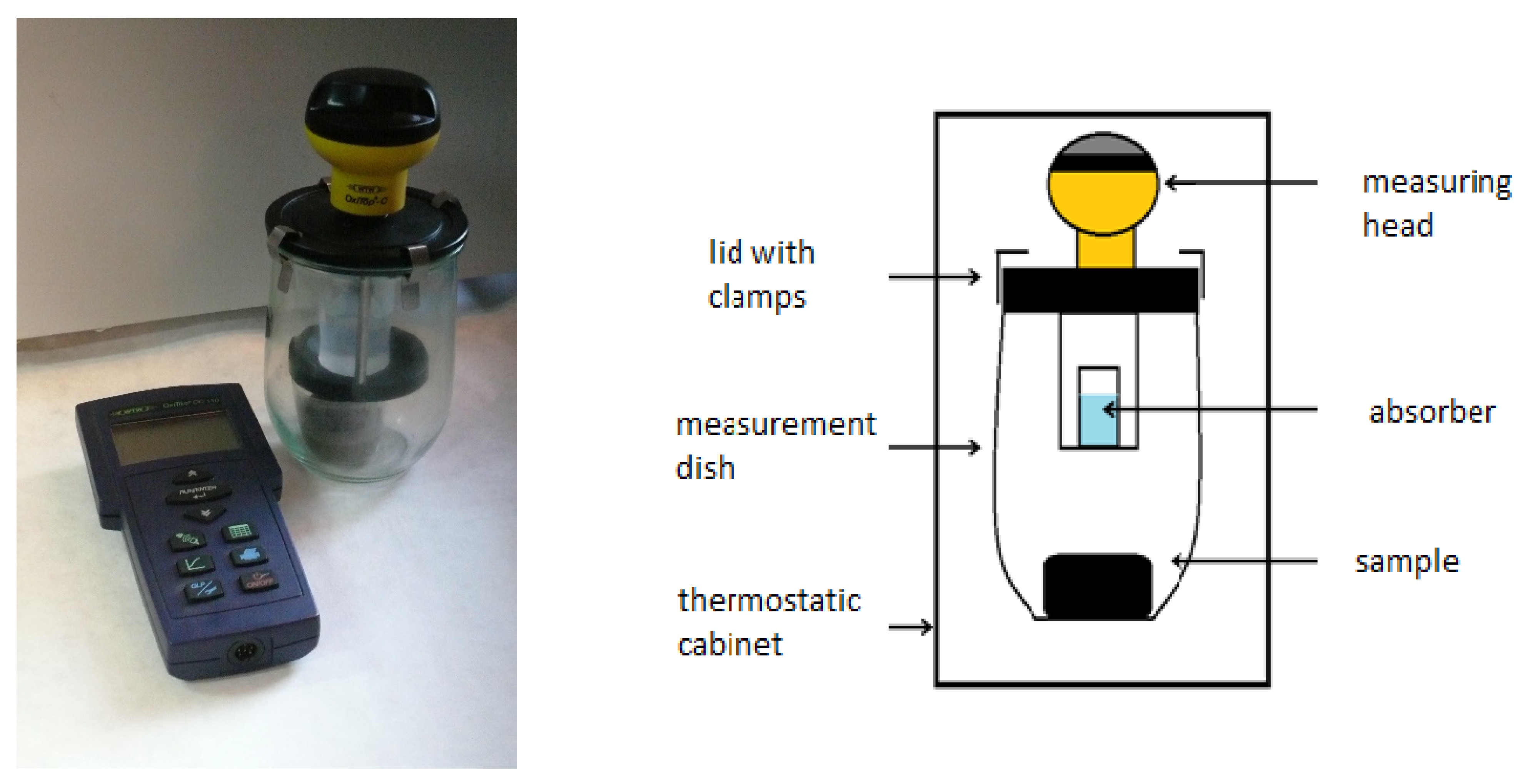 Sustainability 13 06409 g001
