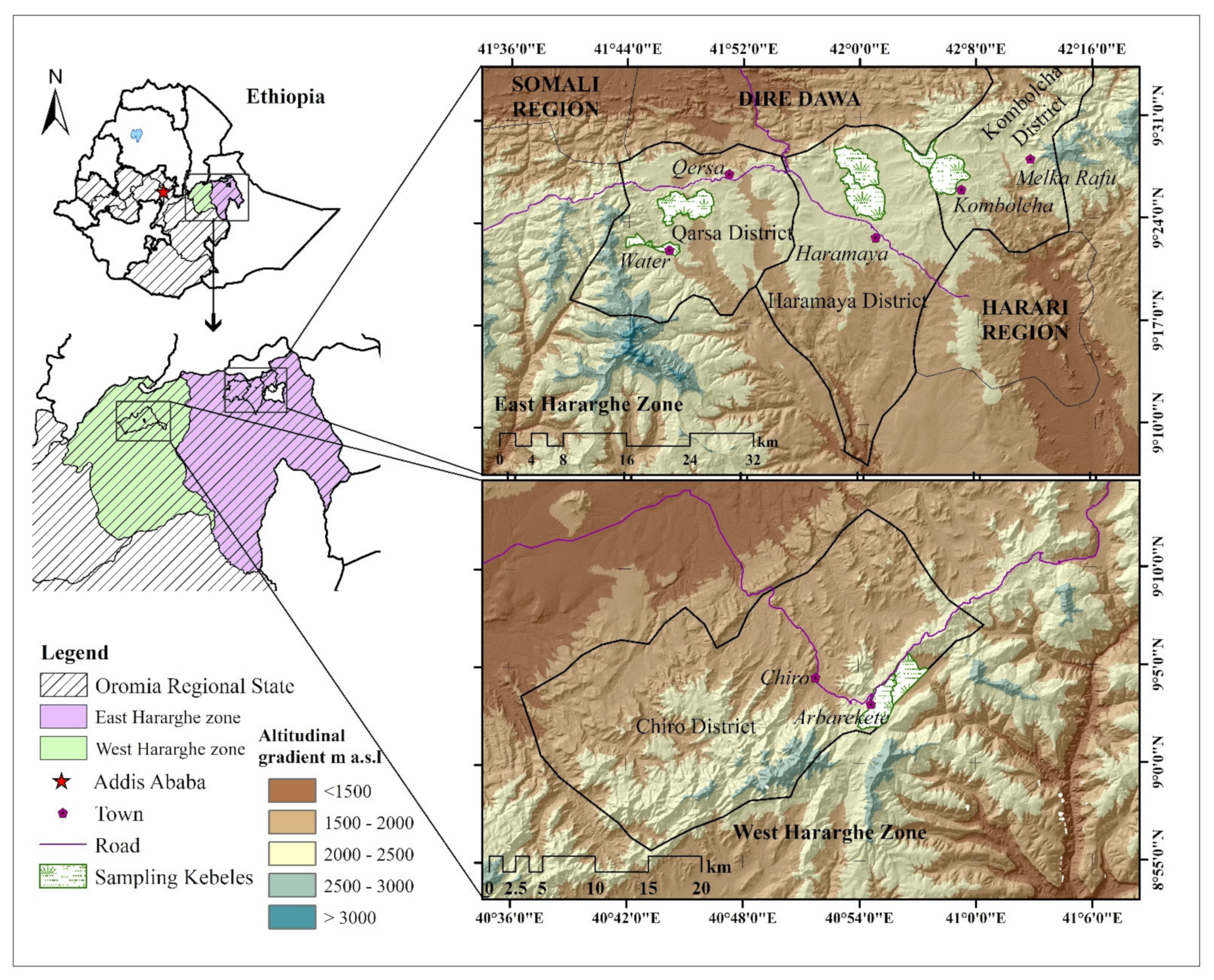 Sustainability 13 06420 g001
