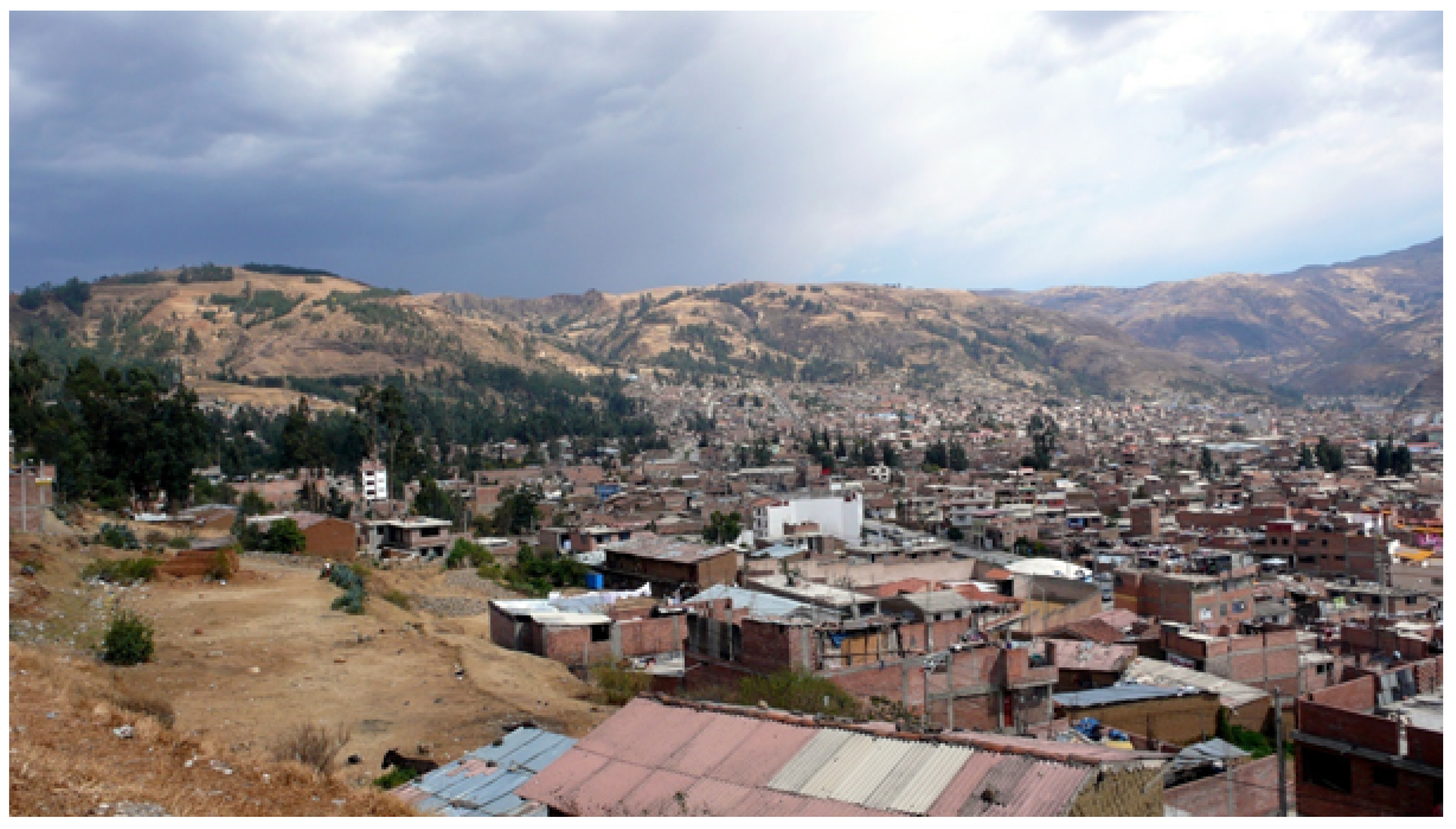 Sustainability 13 06438 g003