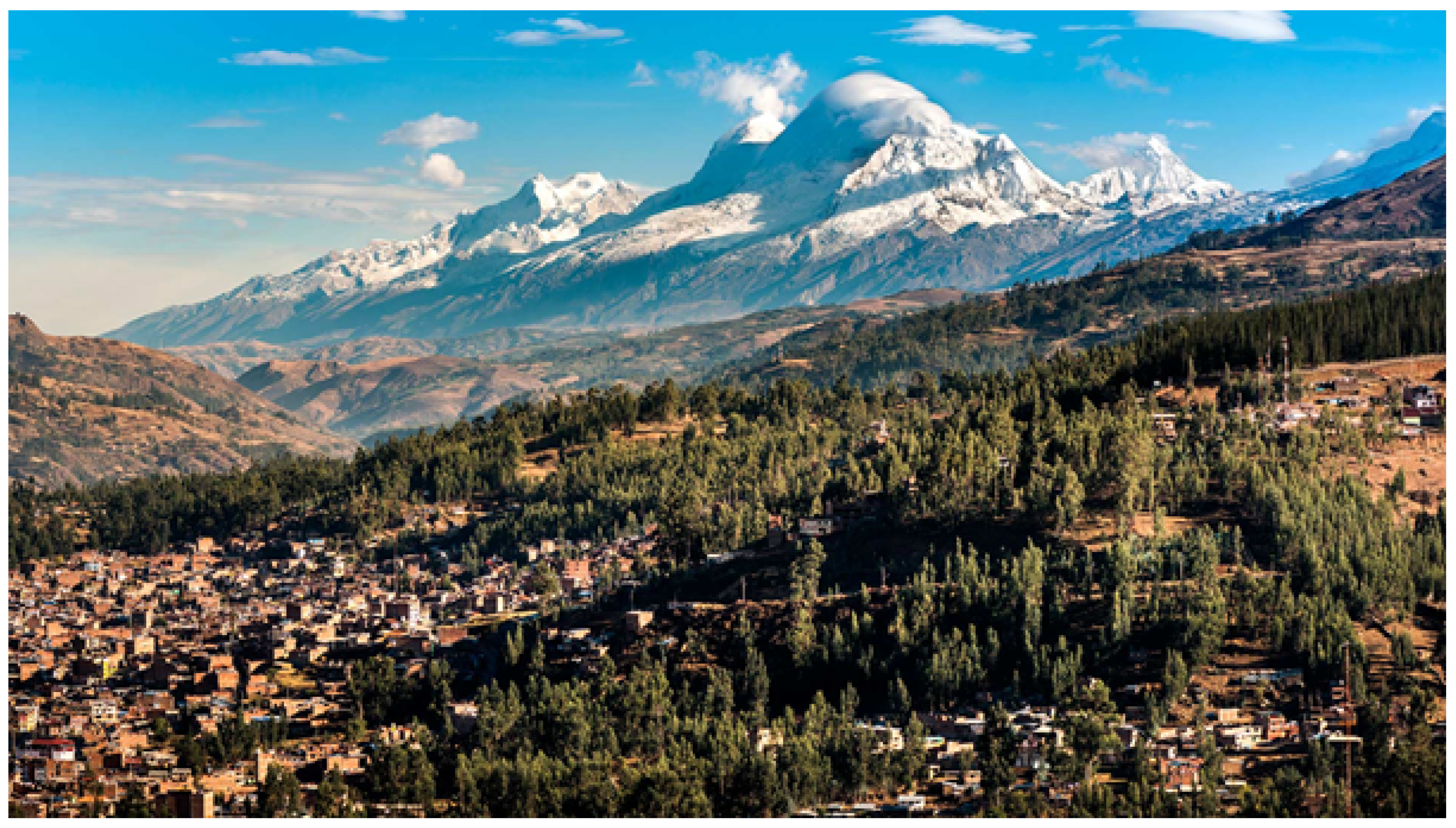 Sustainability 13 06438 g005