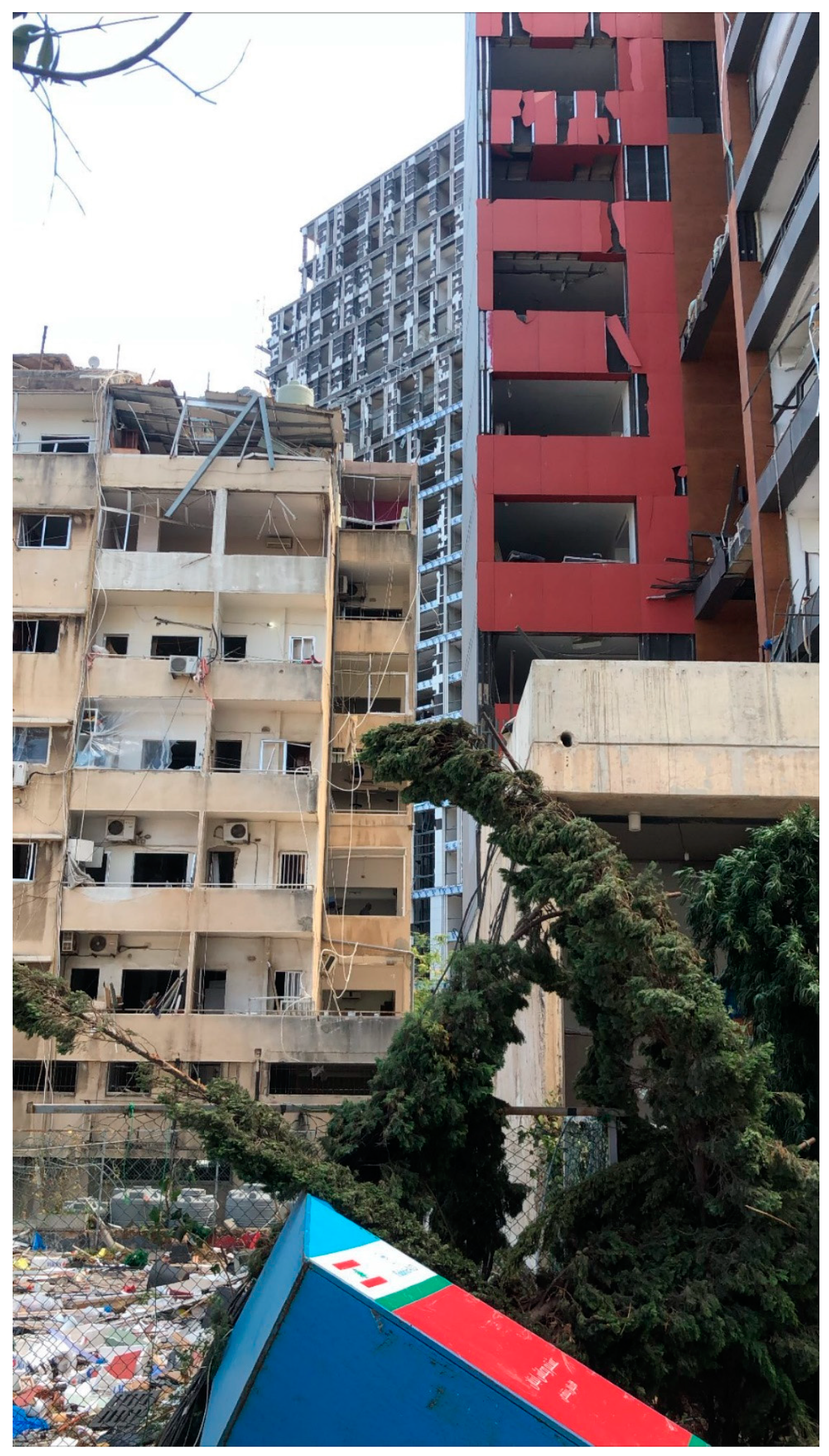 Sustainability 13 06442 g001