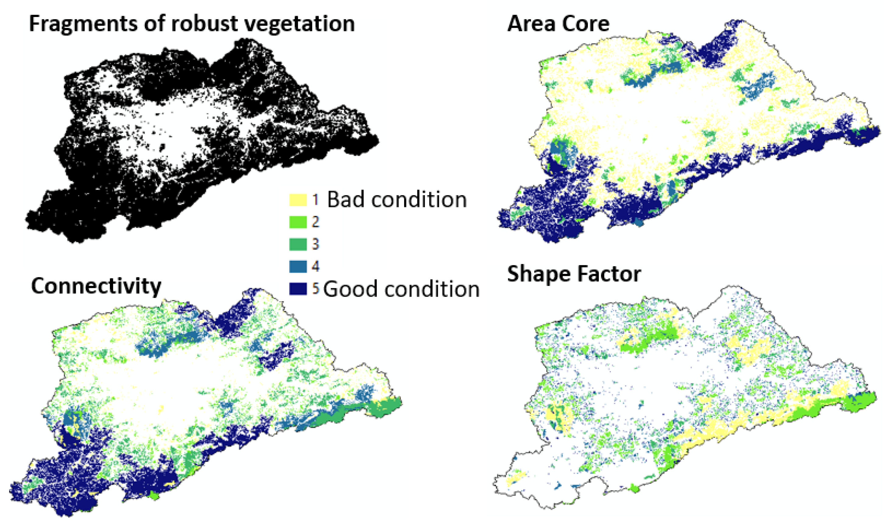 Sustainability 13 06508 g008