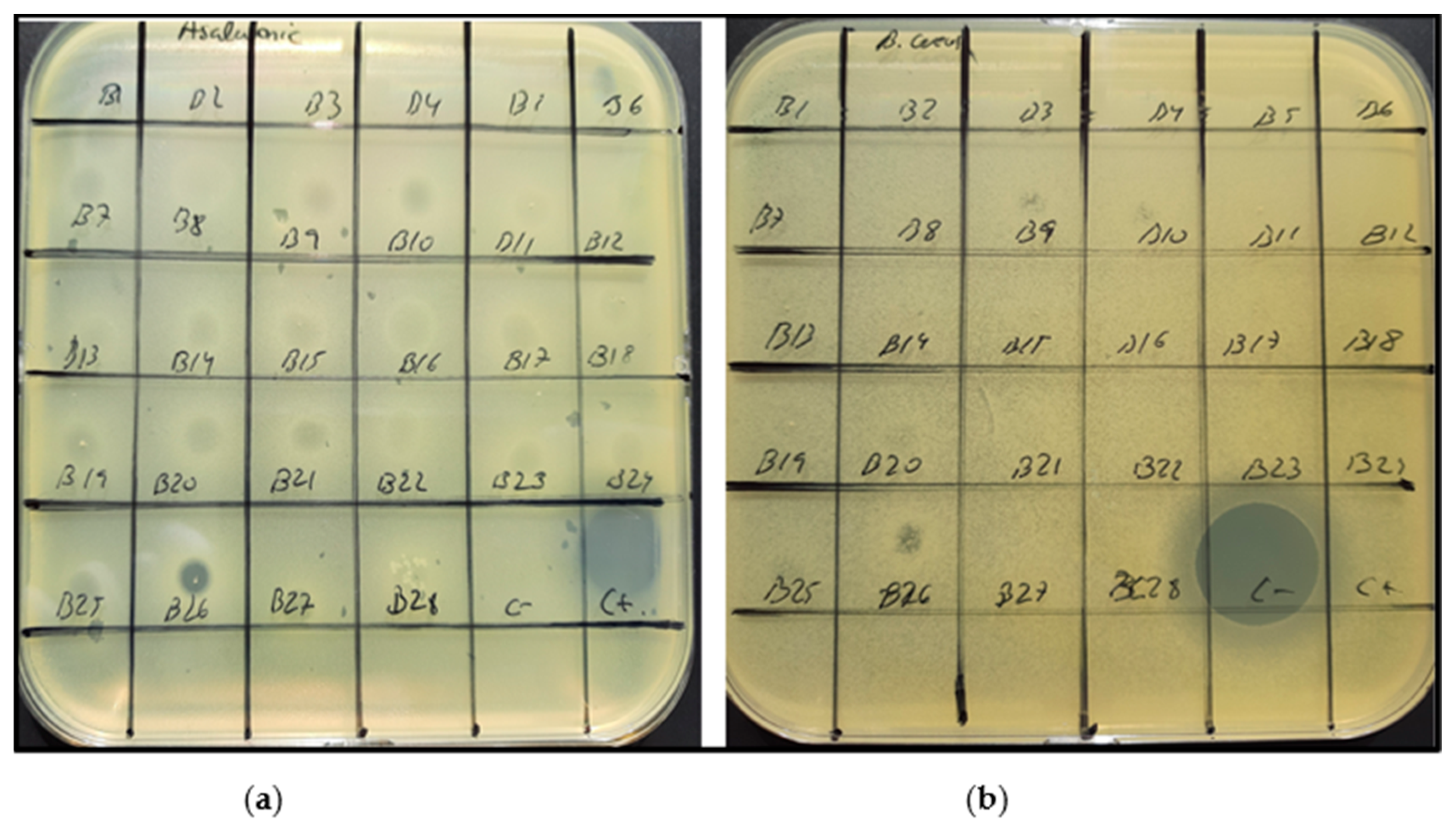 Sustainability 13 06520 g003