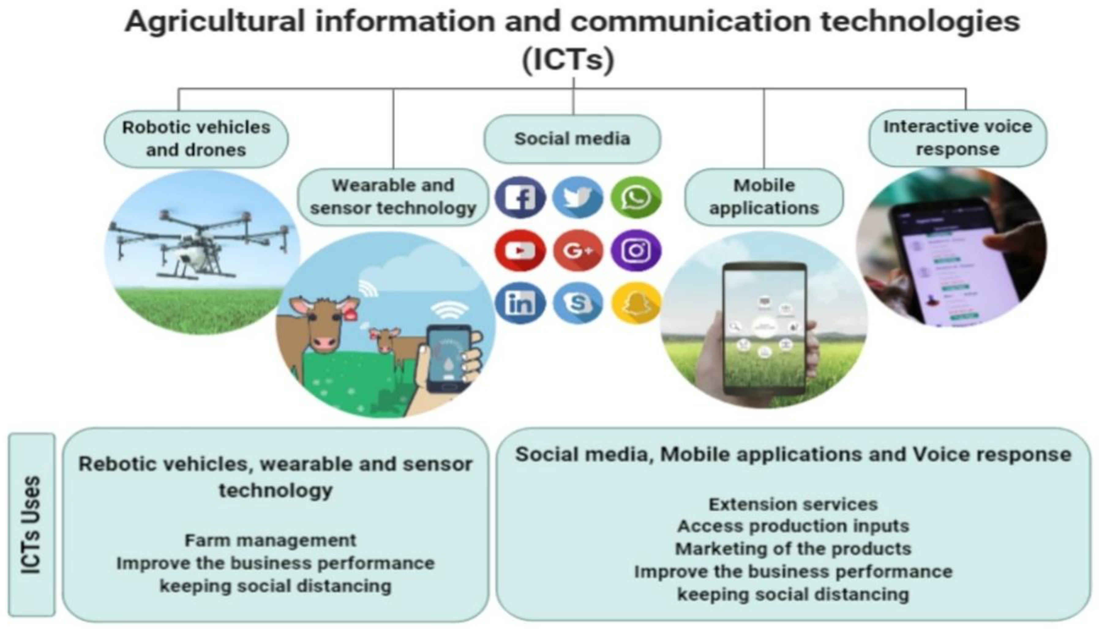 Sustainability 13 06521 g002
