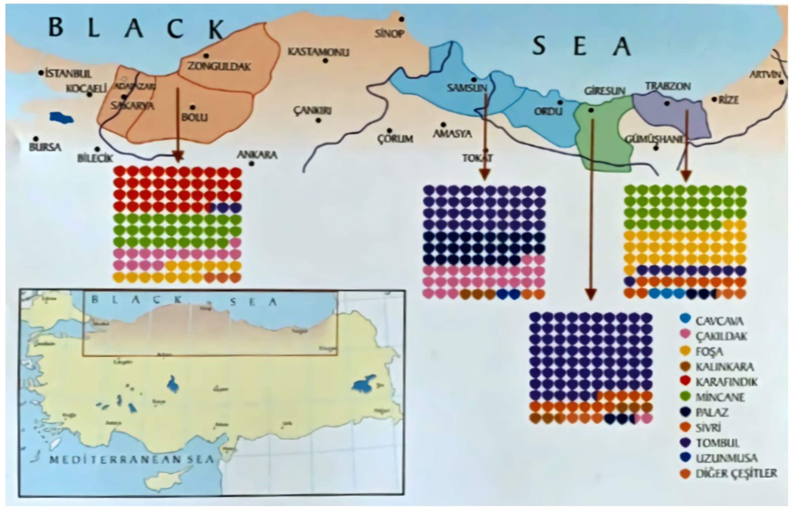 Sustainability 13 06527 g001