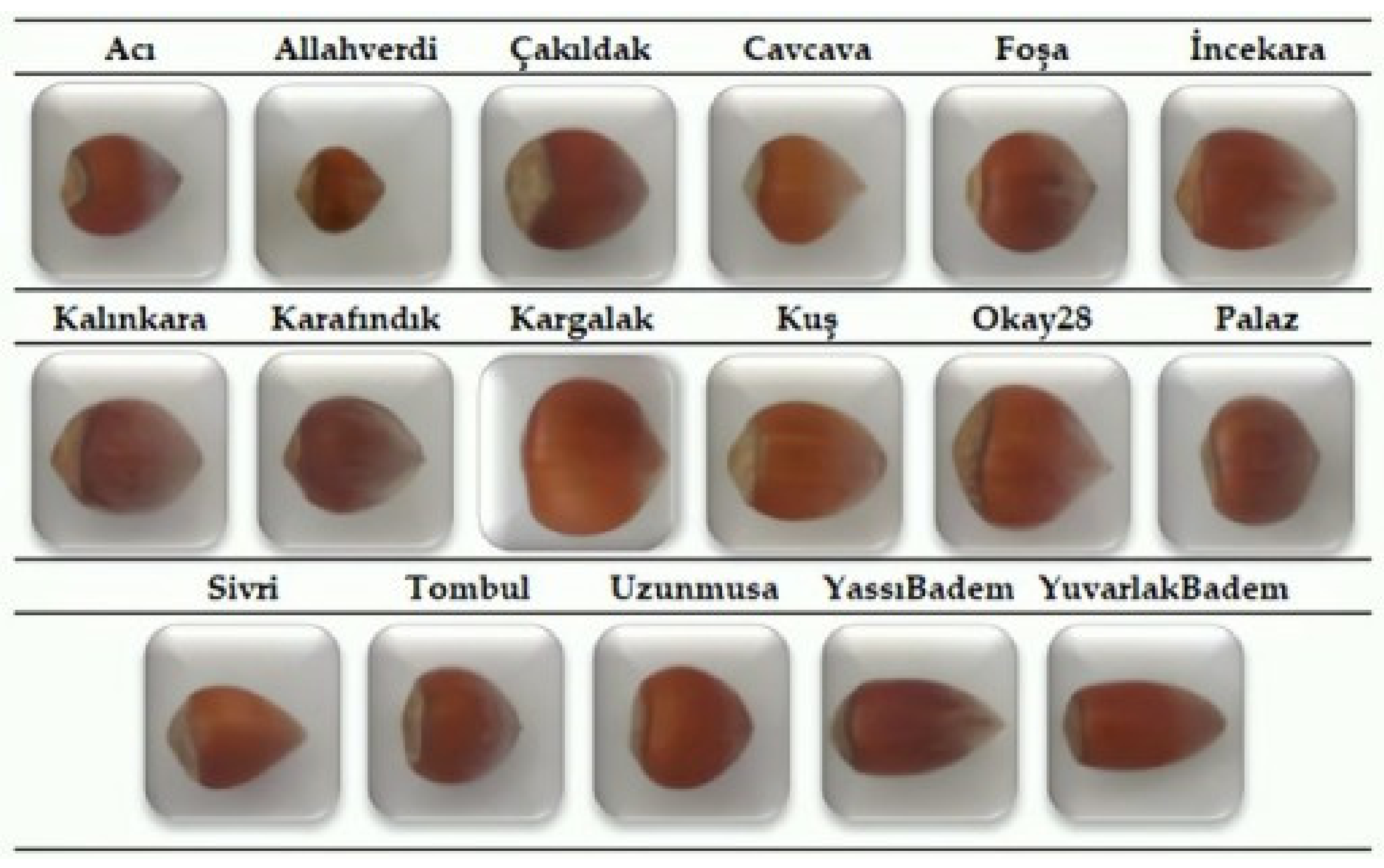 Sustainability 13 06527 g003