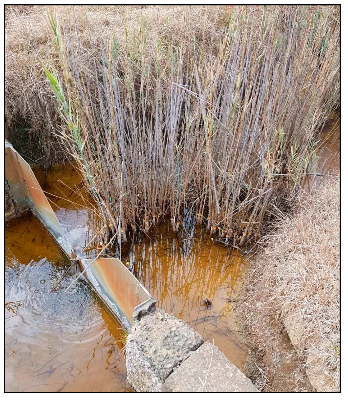 Sustainability 13 06529 g001