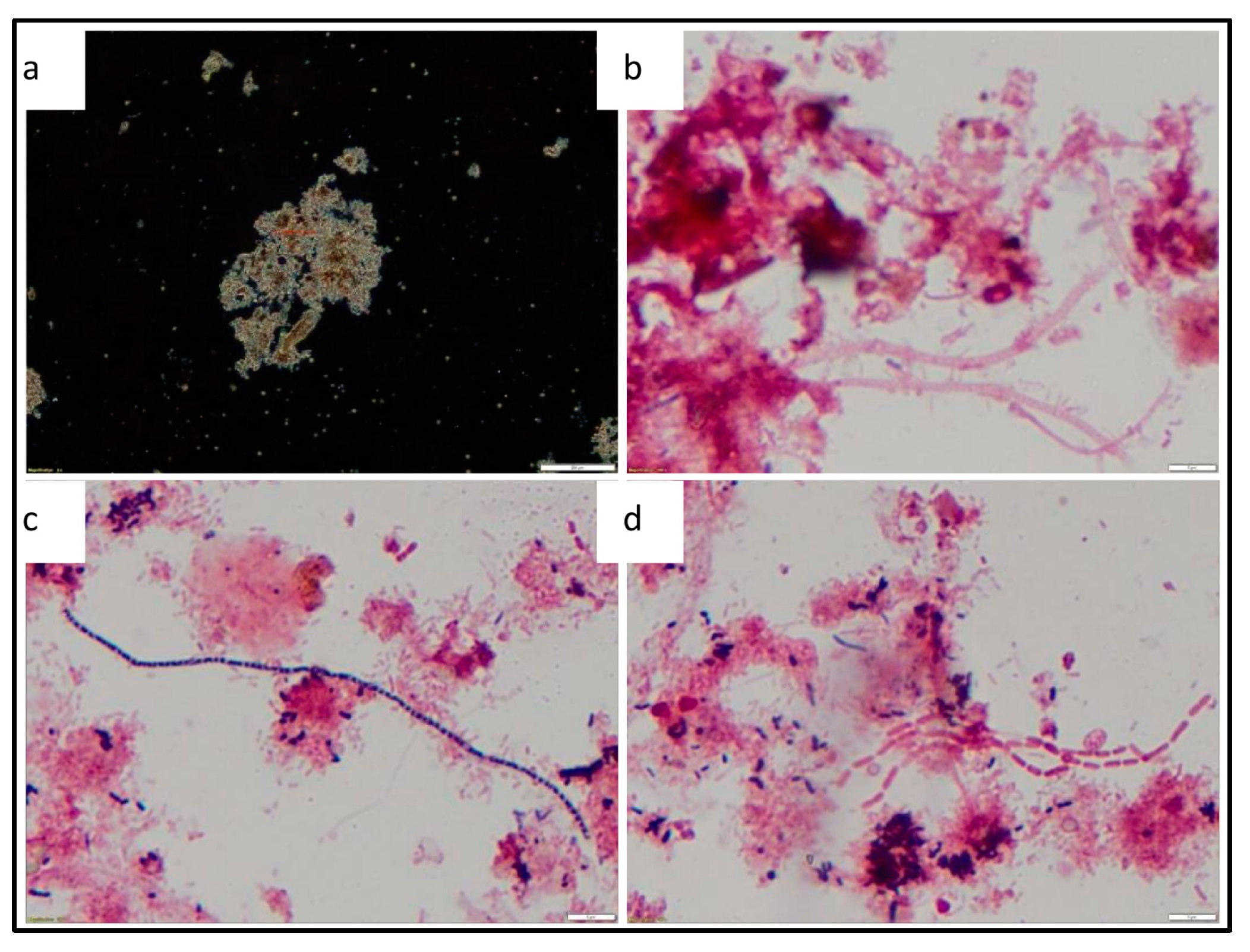 Sustainability 13 06529 g012
