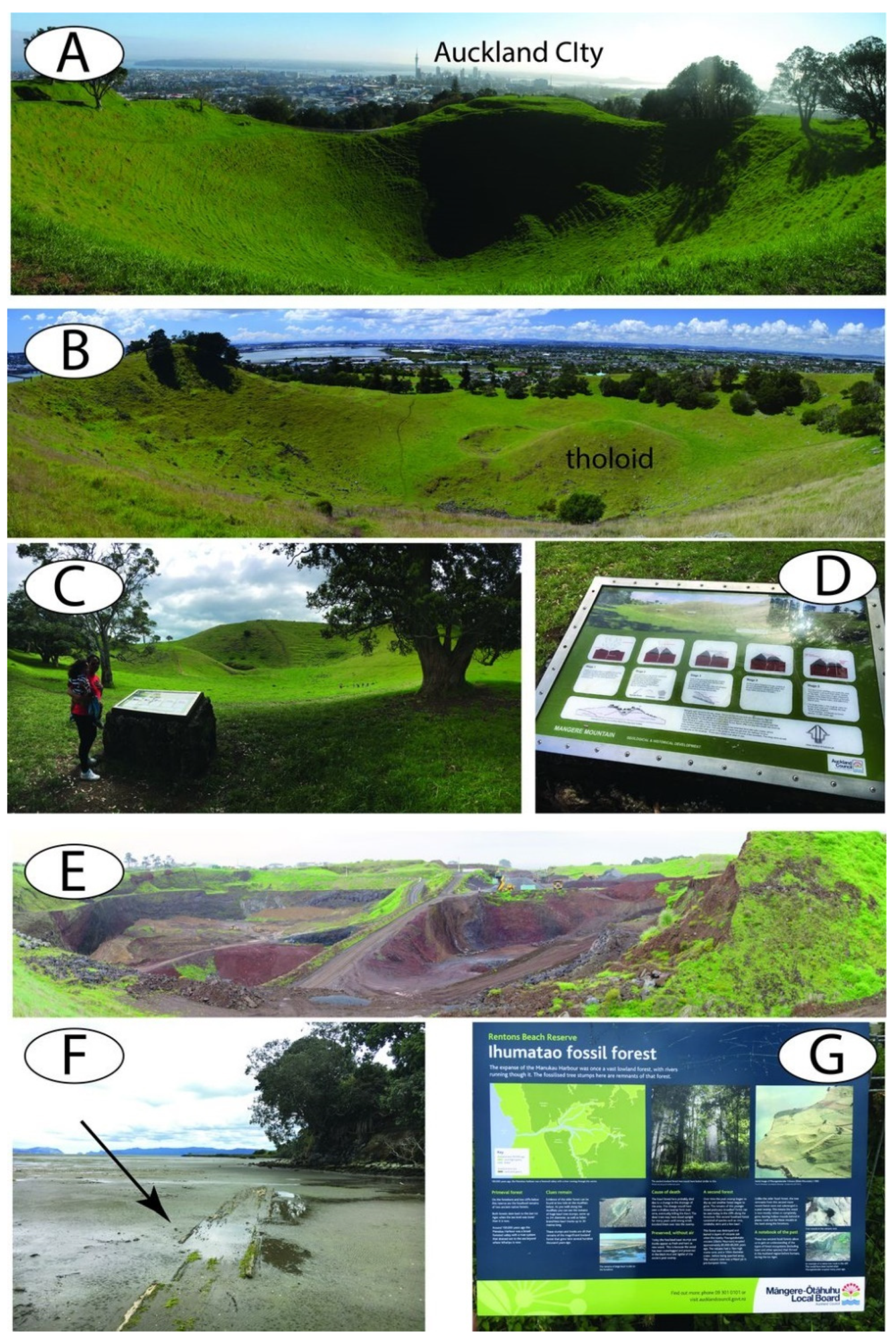 Sustainability 13 06549 g003 Sustainability 13 06549 g003