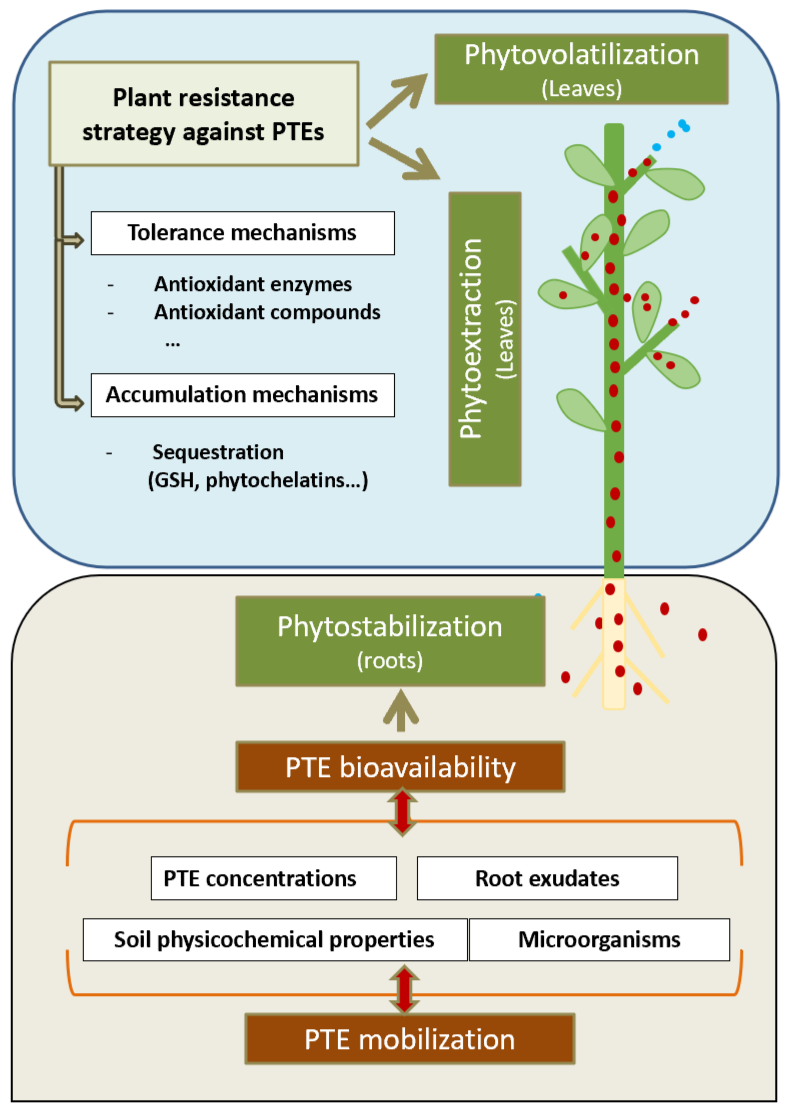 Sustainability 13 06555 g001