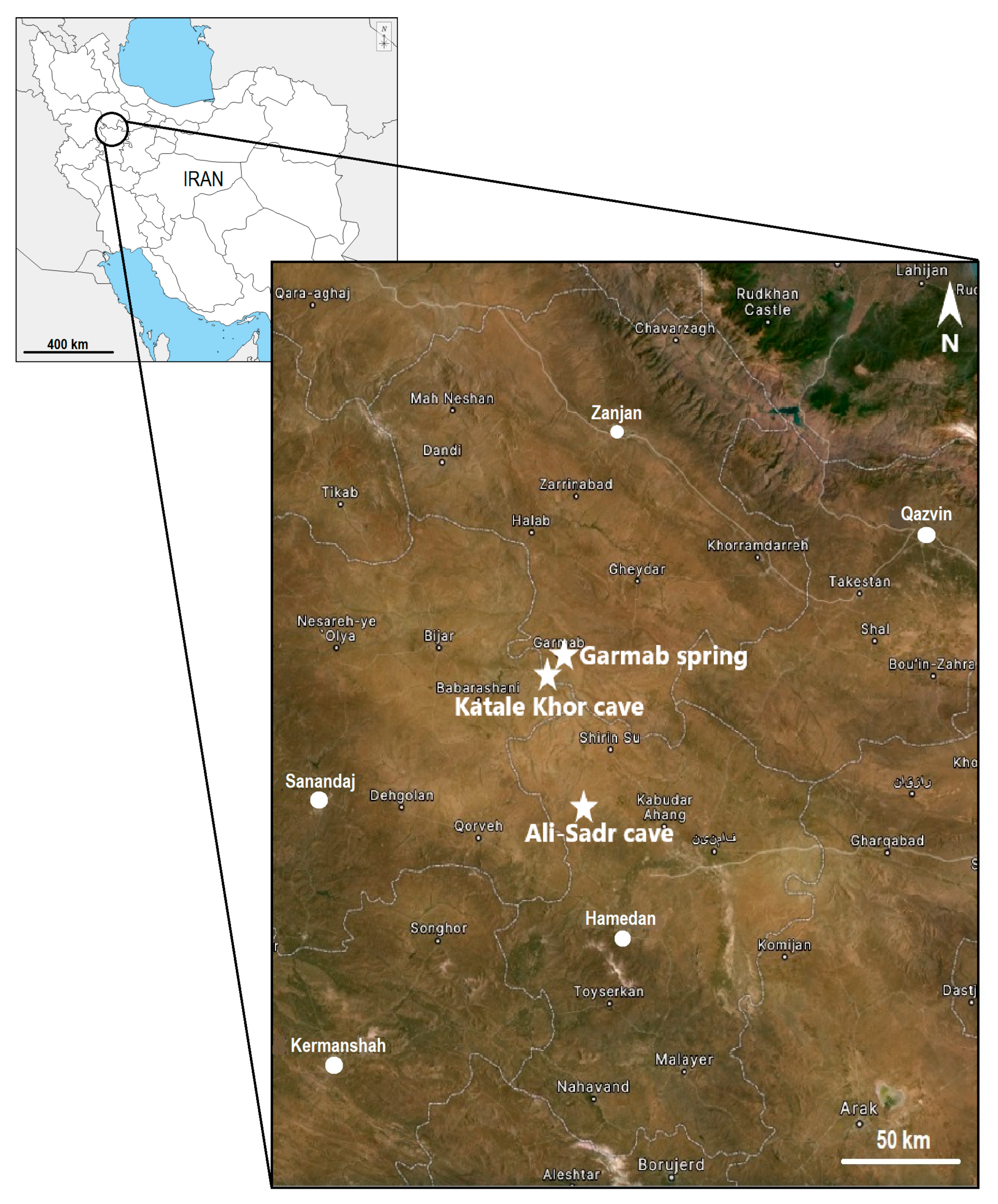 Sustainability 13 06587 g001