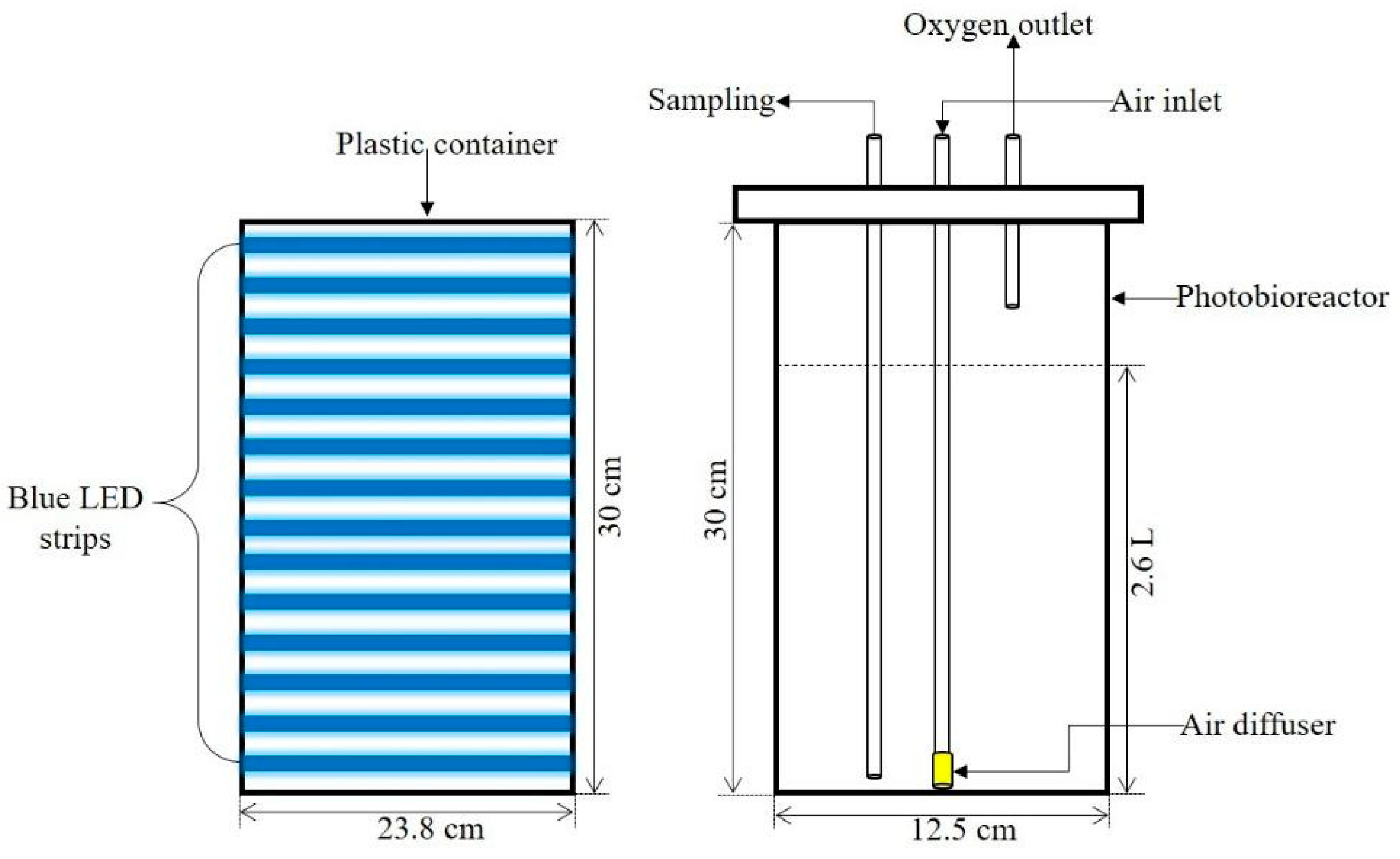 Sustainability 13 06606 g001