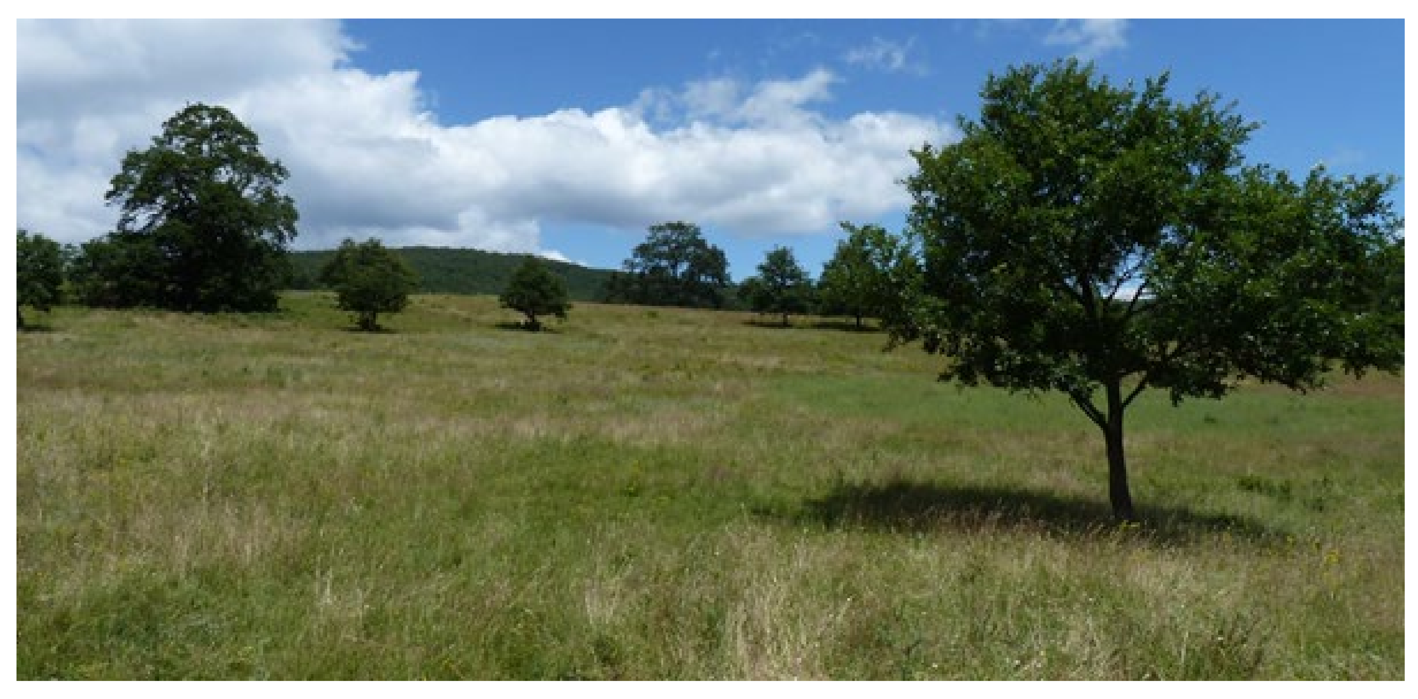 Sustainability 13 06676 g003