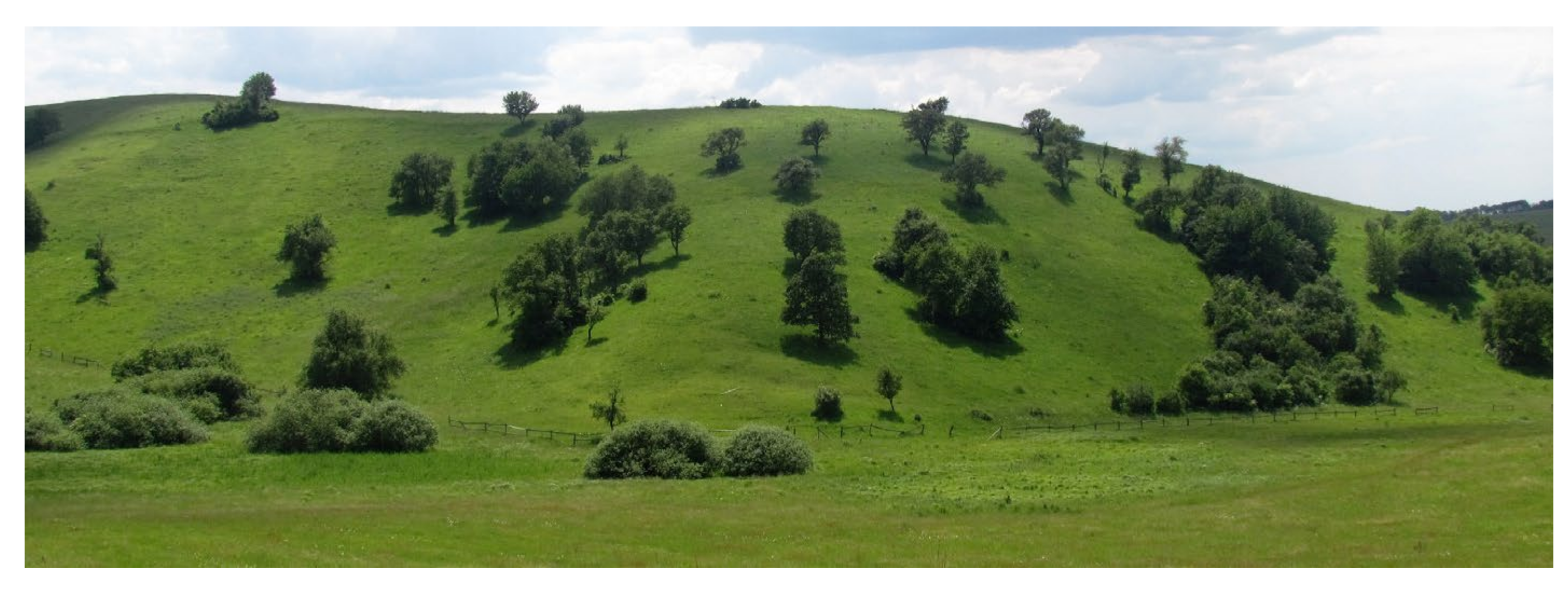 Sustainability 13 06676 g004