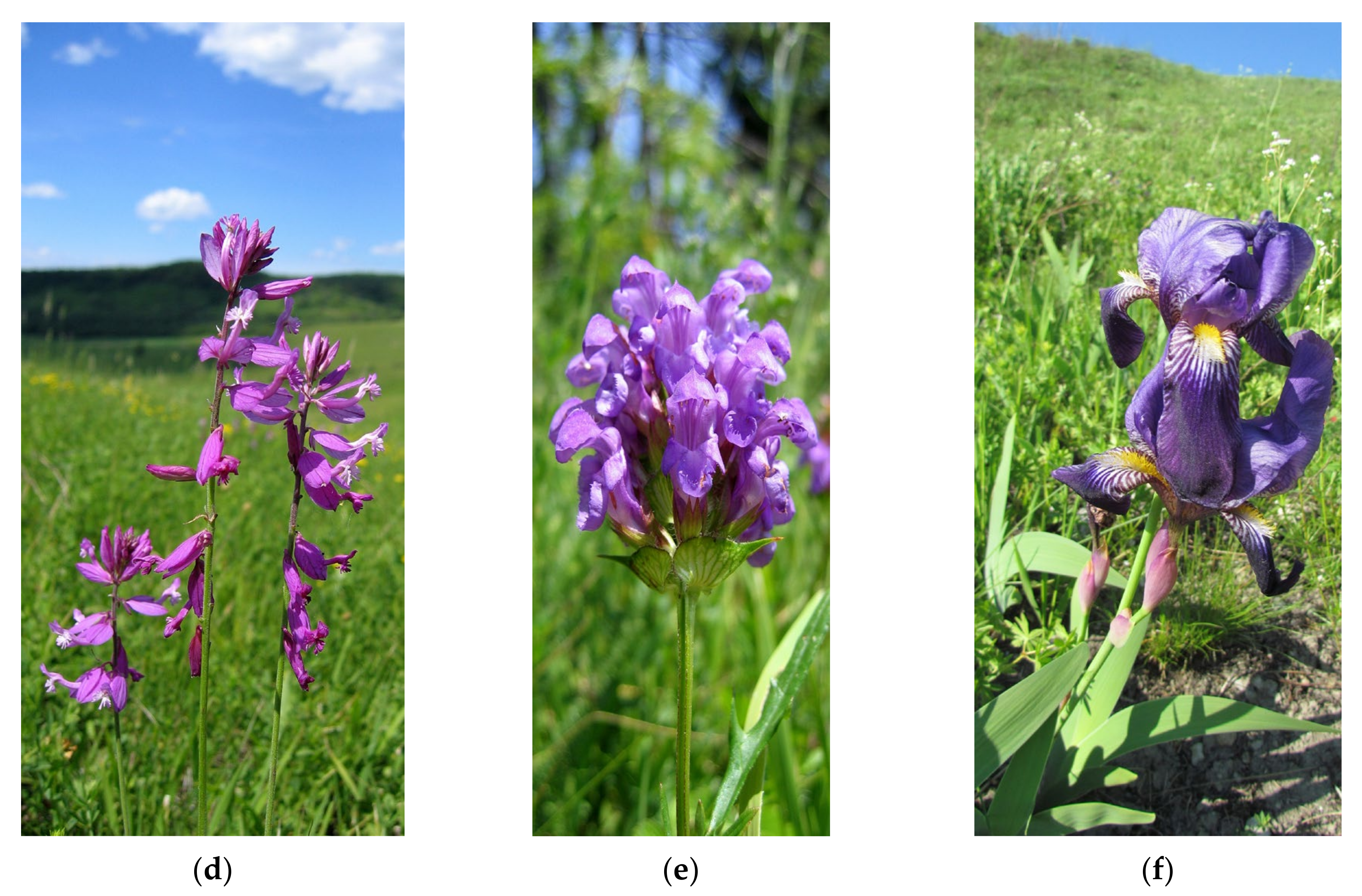 Sustainability 13 06676 g006b